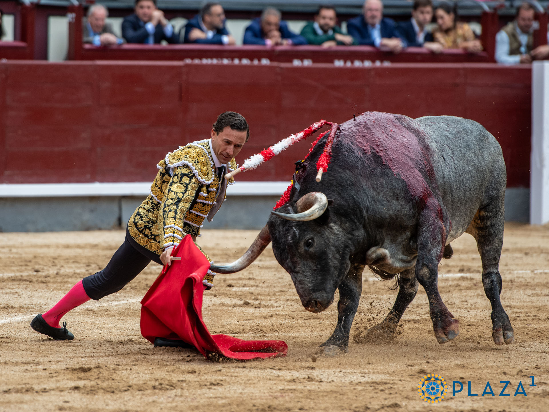 <p><span>Foto: Alfredo Arévalo / Plaza 1</span></p>
