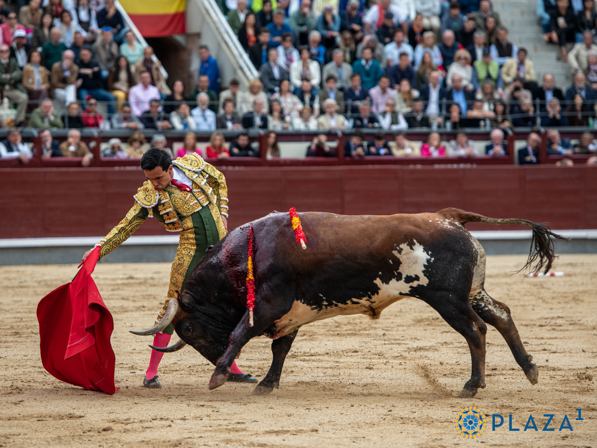 <p><span>Foto: Alfredo Arévalo / Plaza 1</span></p>