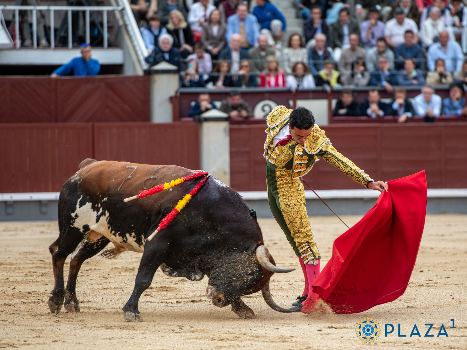 <p><span>Foto: Alfredo Arévalo / Plaza 1</span></p>