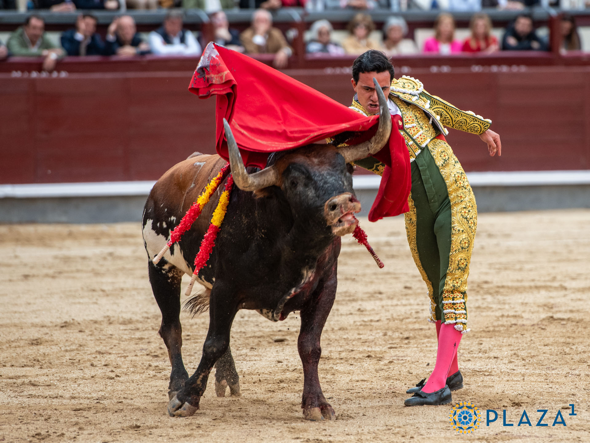 <p><span>Foto: Alfredo Arévalo / Plaza 1</span></p>