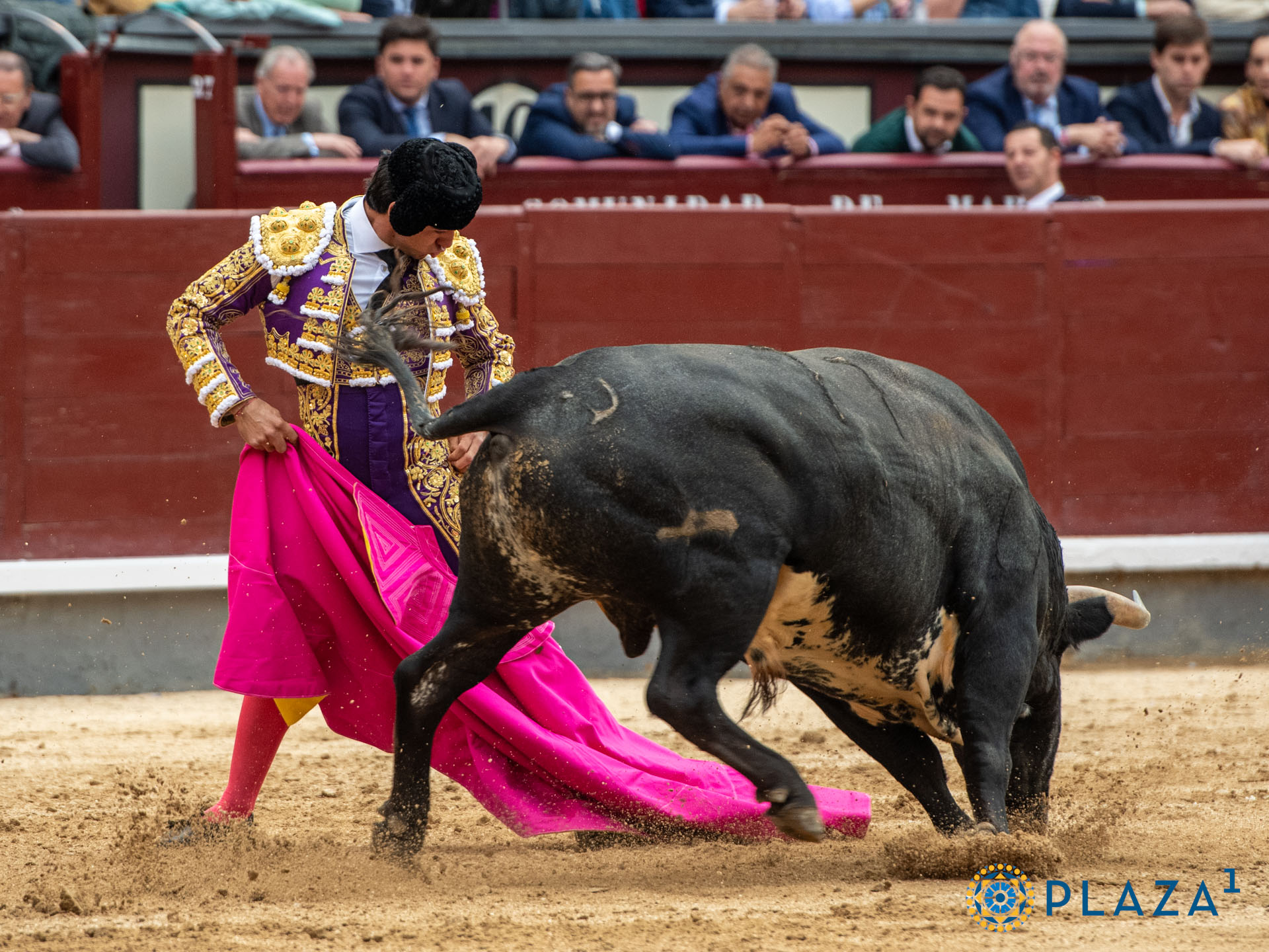 <p><span>Foto: Alfredo Arévalo / Plaza 1</span></p>