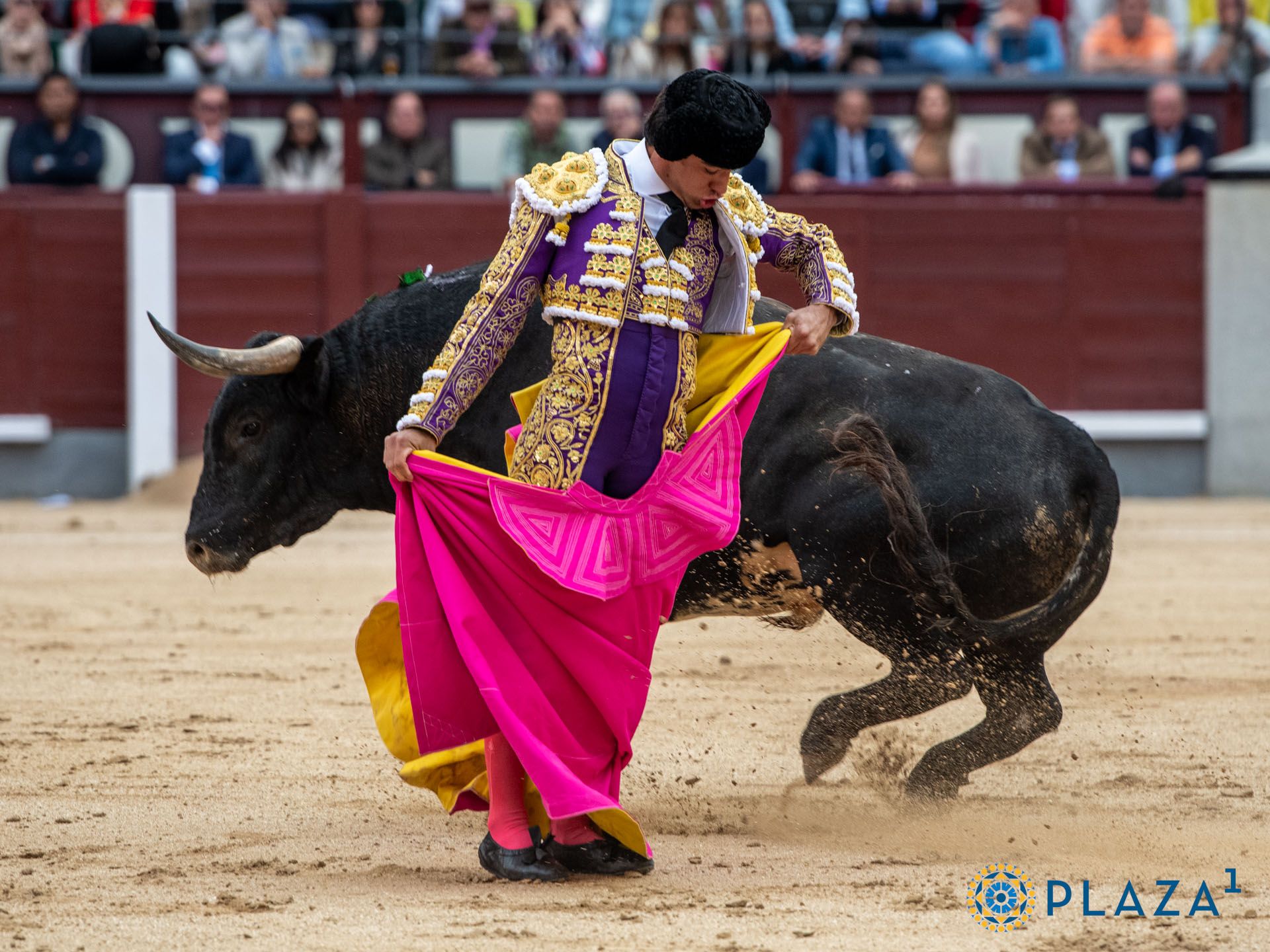 <p><span>Foto: Alfredo Arévalo / Plaza 1</span></p>