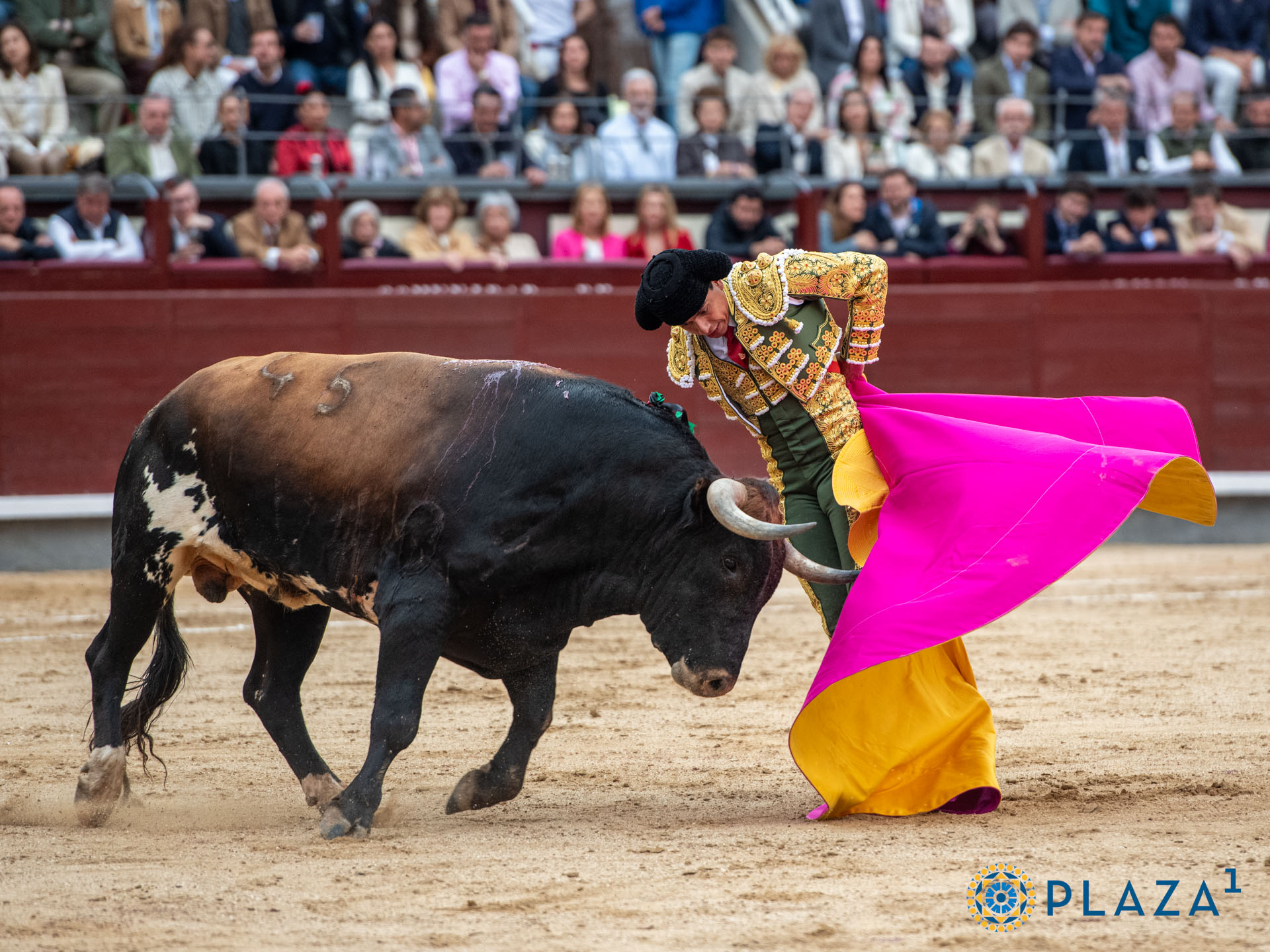 <p><span>Foto: Alfredo Arévalo / Plaza 1</span></p>