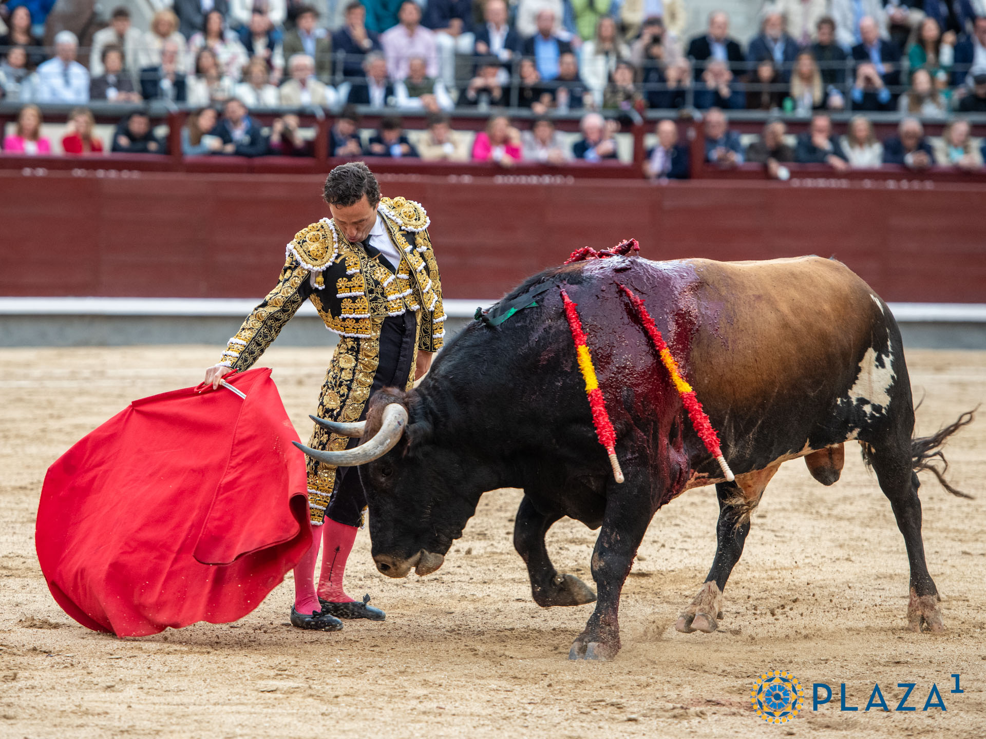 <p><span>Foto: Alfredo Arévalo / Plaza 1</span></p>