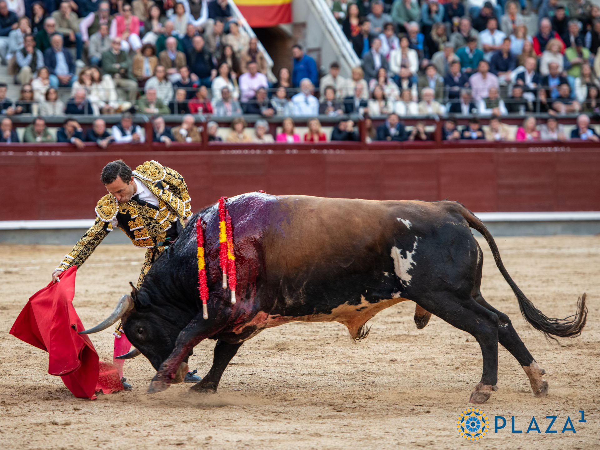 <p><span>Foto: Alfredo Arévalo / Plaza 1</span></p>
