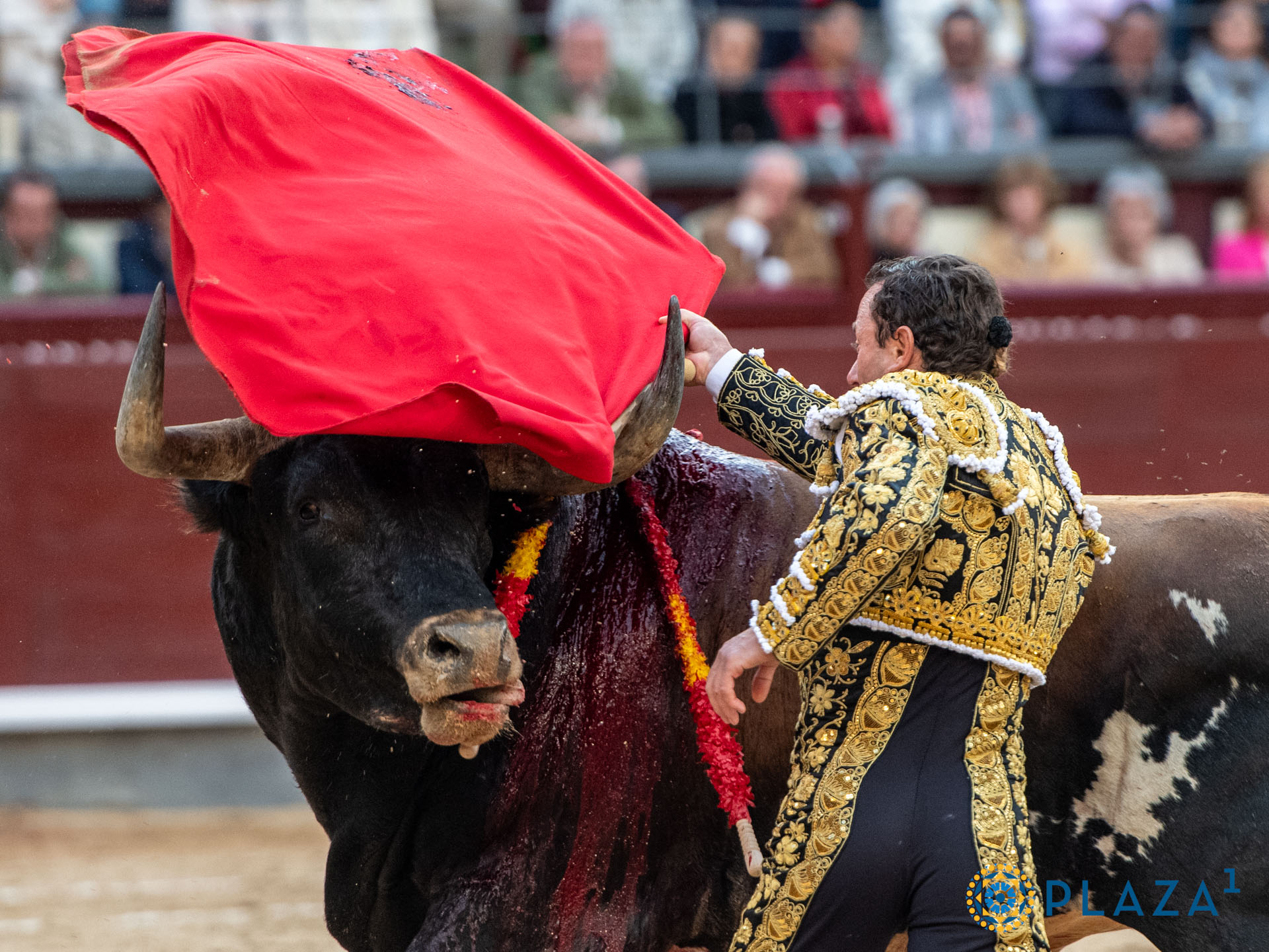 <p><span>Foto: Alfredo Arévalo / Plaza 1</span></p>