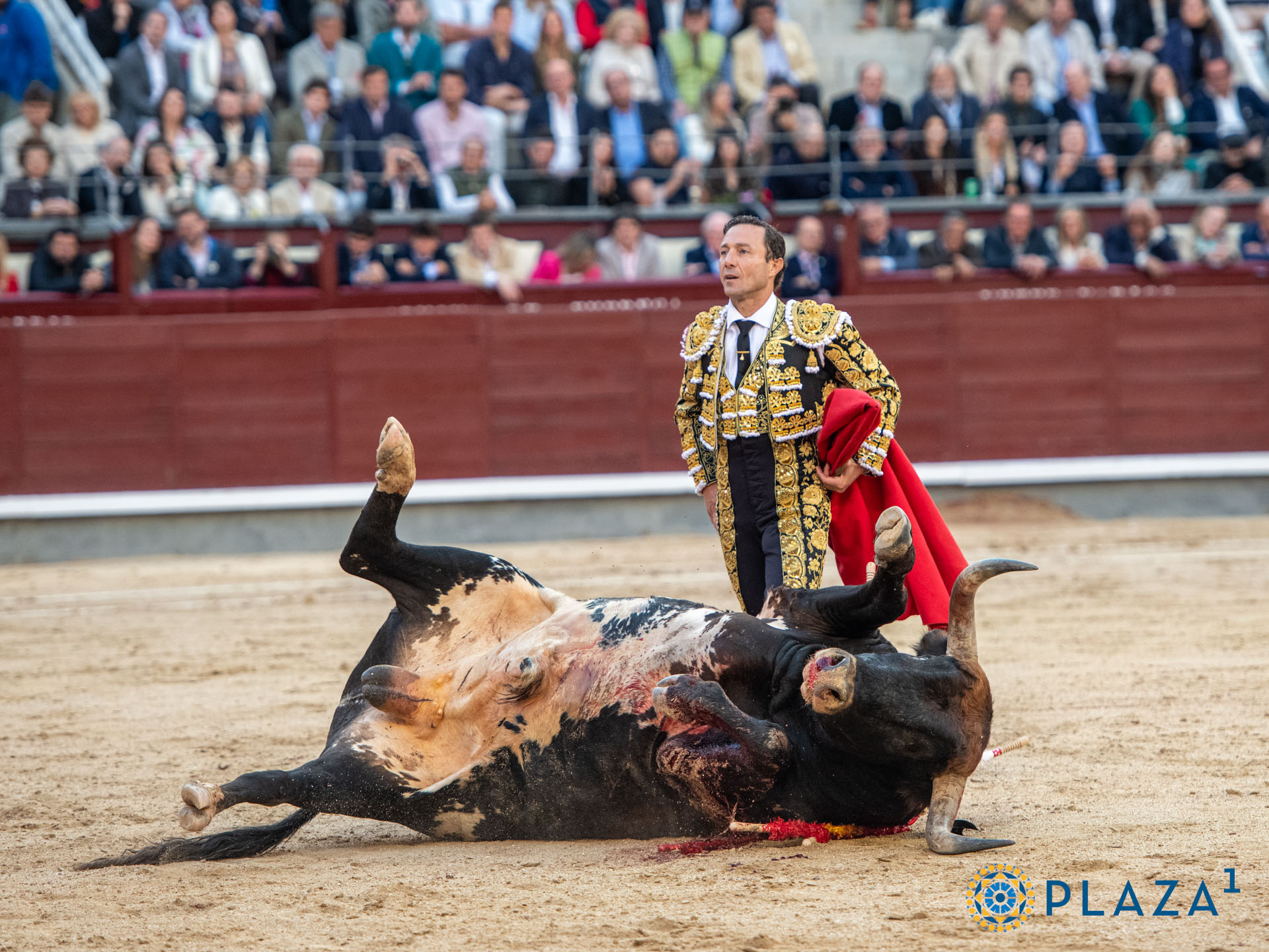 <p><span>Foto: Alfredo Arévalo / Plaza 1</span></p>