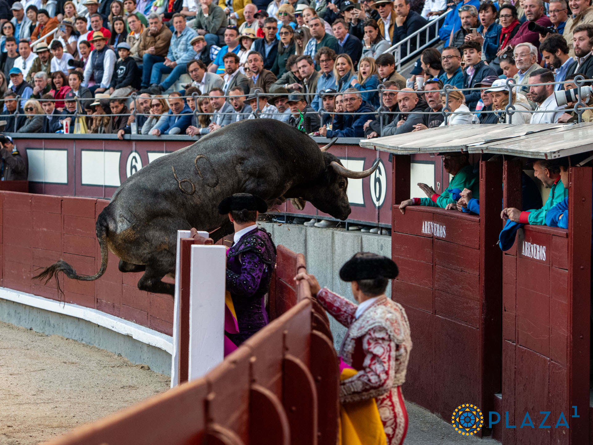 <p><span>Foto: Alfredo Arévalo / Plaza 1</span></p>
