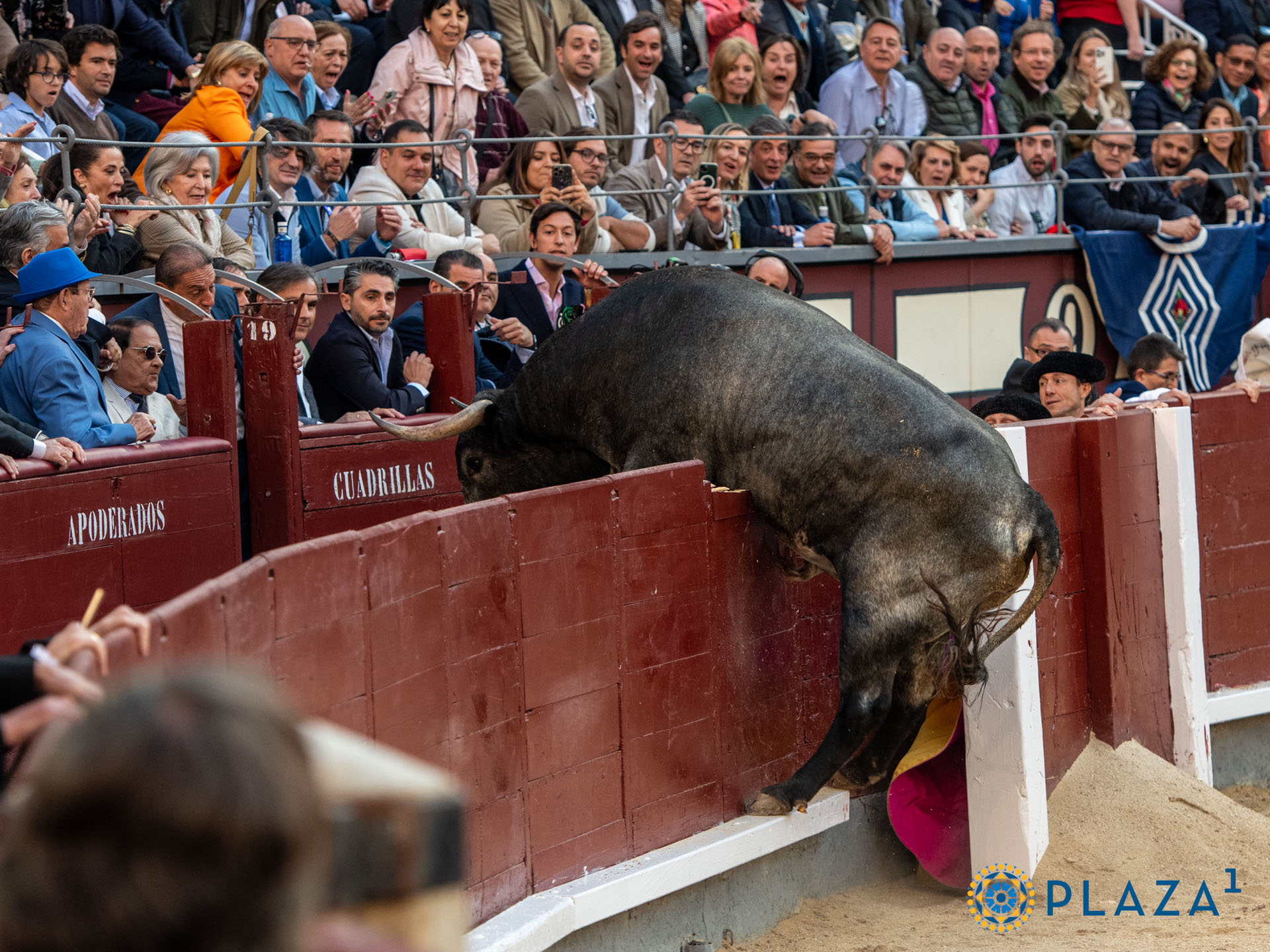 <p><span>Foto: Alfredo Arévalo / Plaza 1</span></p>