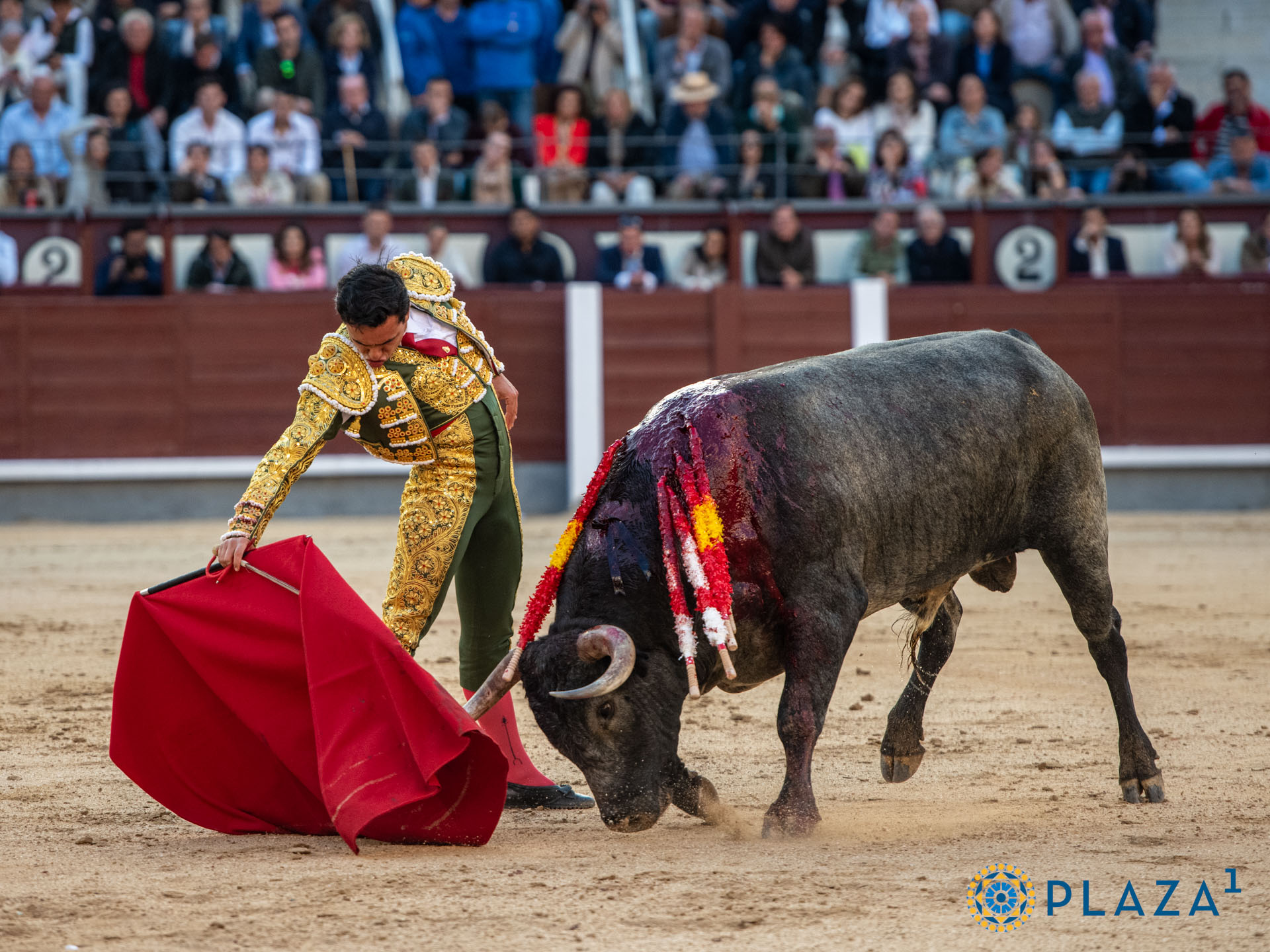 <p><span>Foto: Alfredo Arévalo / Plaza 1</span></p>