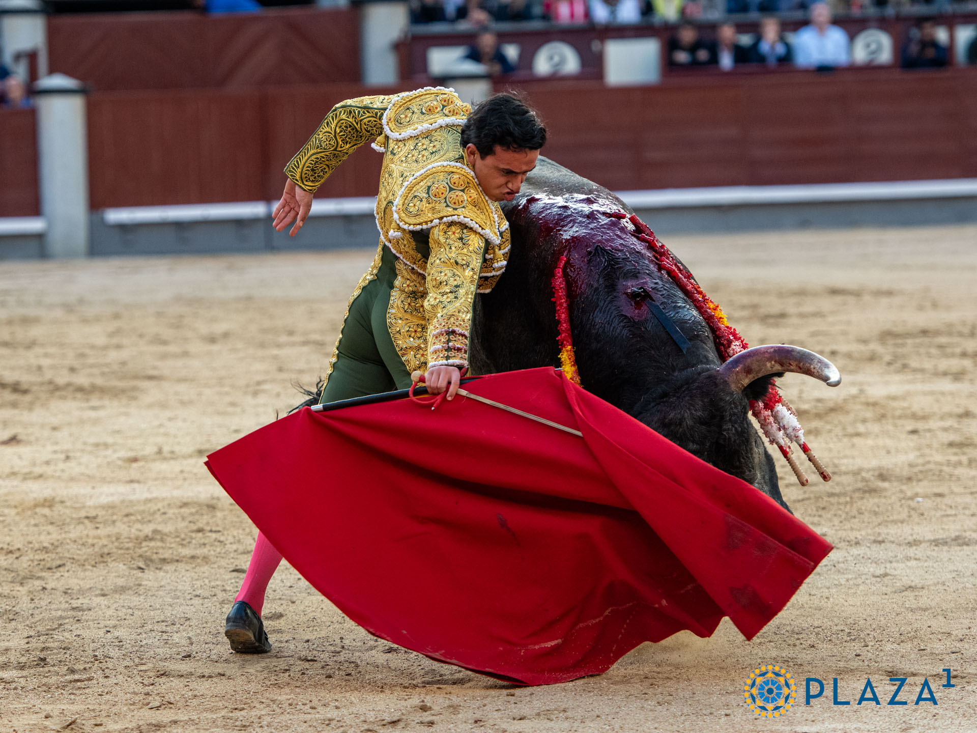 <p><span>Foto: Alfredo Arévalo / Plaza 1</span></p>
