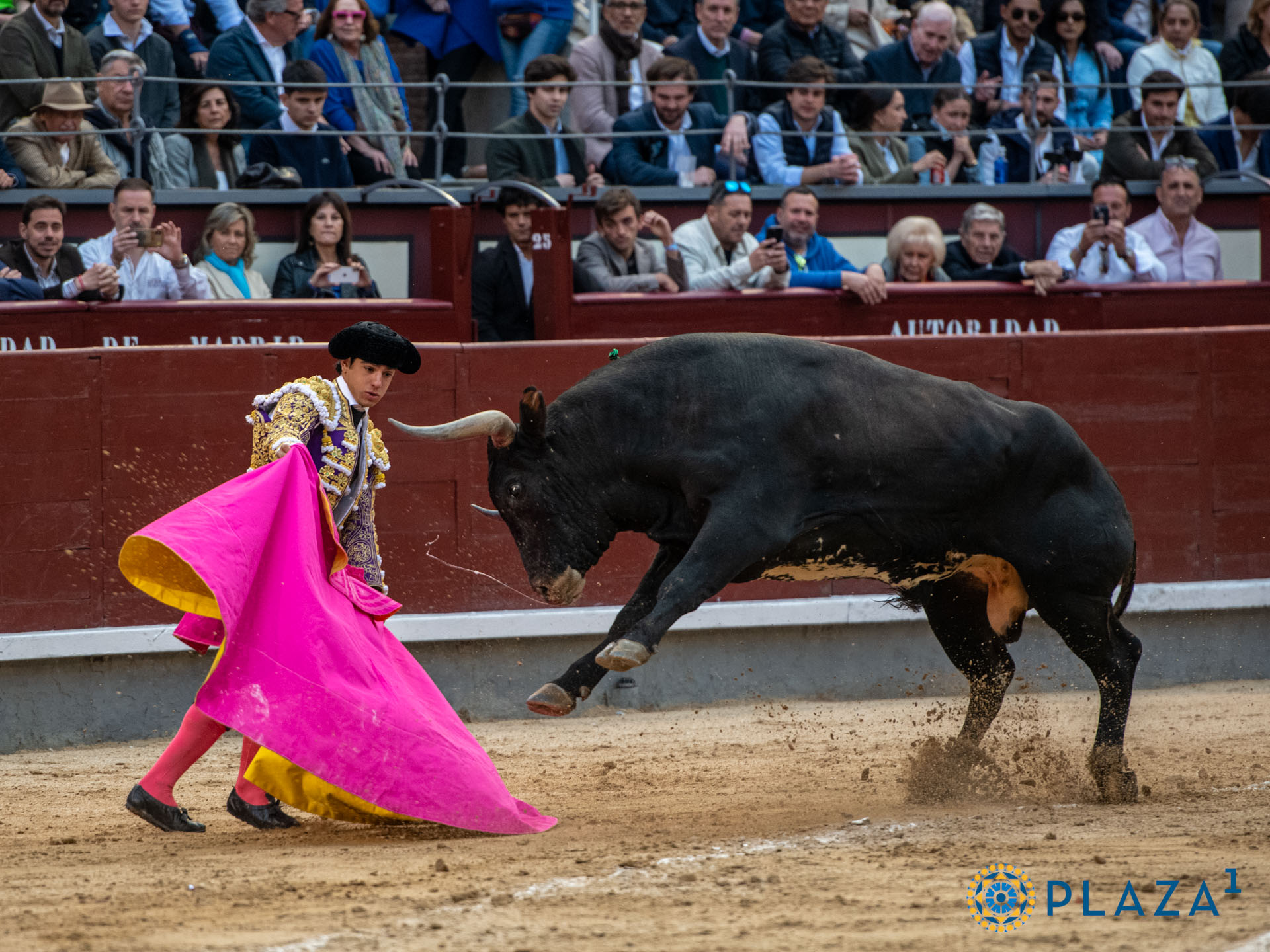 <p><span>Foto: Alfredo Arévalo / Plaza 1</span></p>