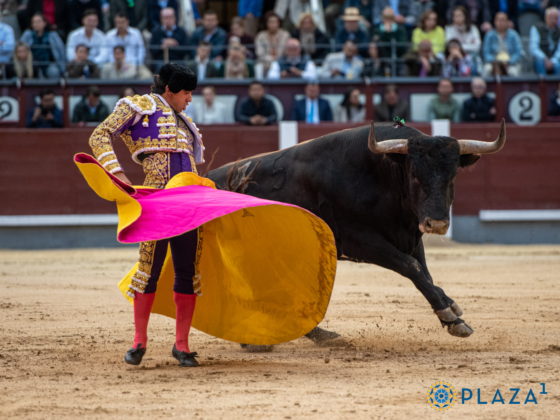 <p><span>Foto: Alfredo Arévalo / Plaza 1</span></p>