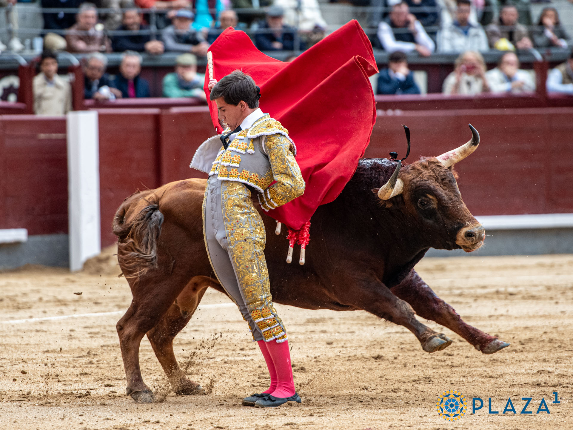 <p>Foto: Alfredo Arévalo / Plaza 1</p>