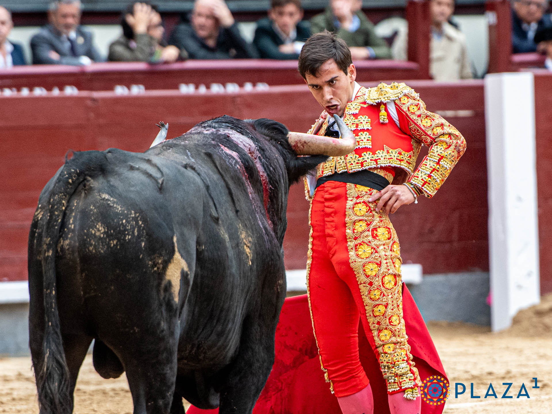 <p>Foto: Alfredo Arévalo / Plaza 1</p>