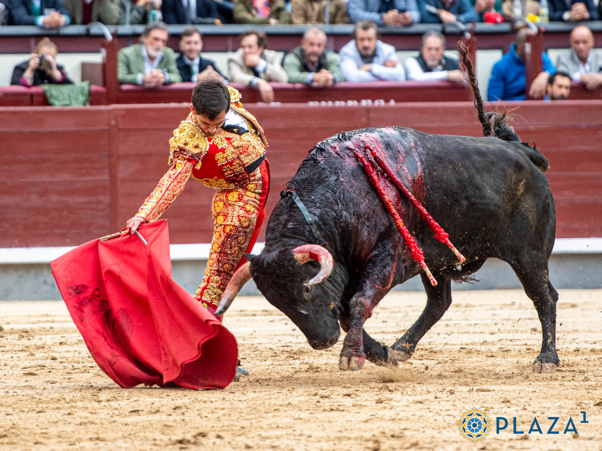 <p>Foto: Alfredo Arévalo / Plaza 1</p>