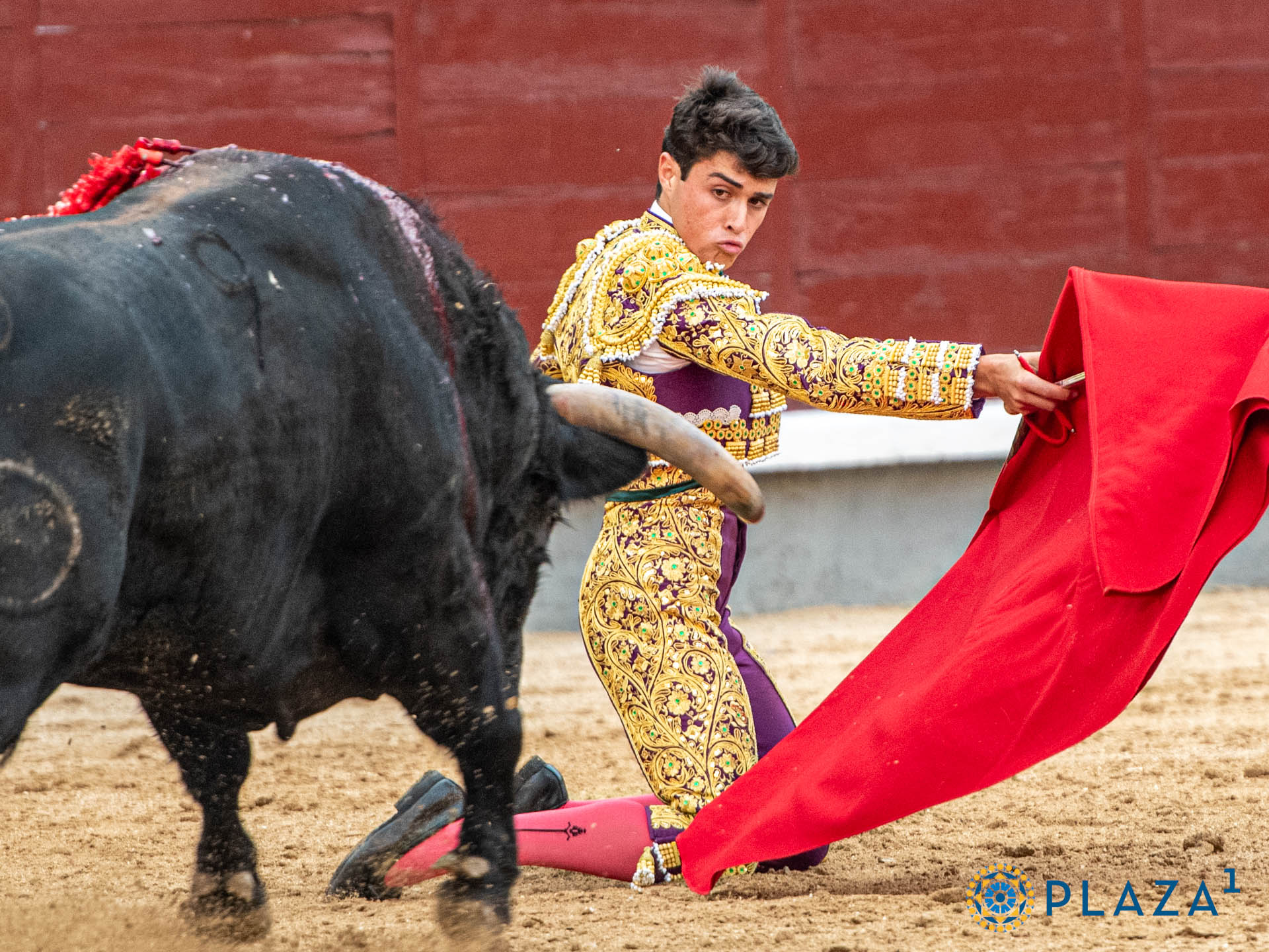 <p>Foto: Alfredo Arévalo / Plaza 1</p>