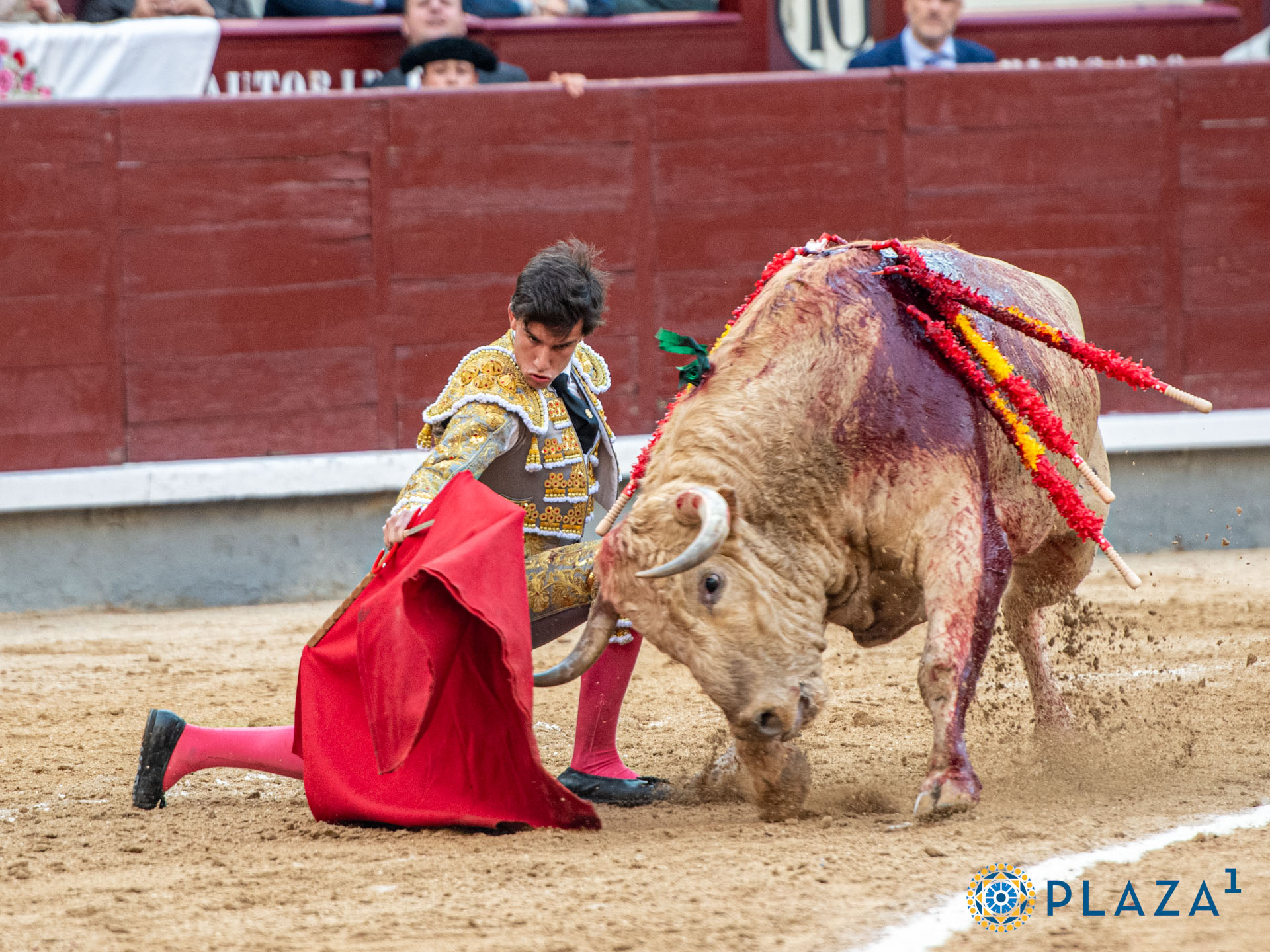 <p>Foto: Alfredo Arévalo / Plaza 1</p>