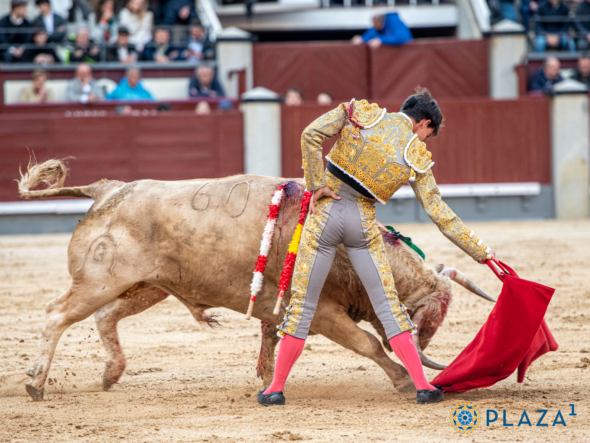 <p>Foto: Alfredo Arévalo / Plaza 1</p>