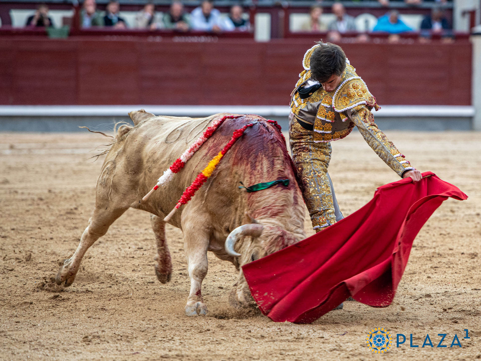 <p>Foto: Alfredo Arévalo / Plaza 1</p>