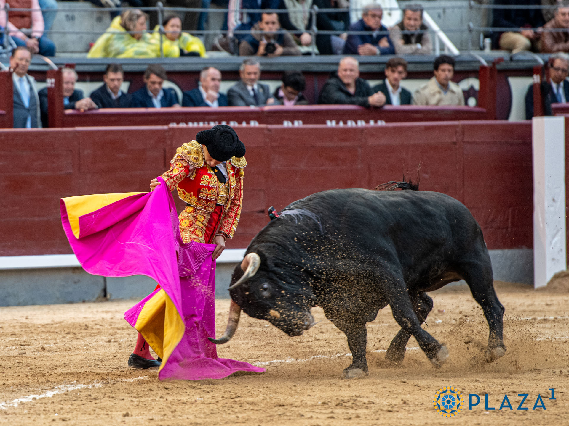 <p>Foto: Alfredo Arévalo / Plaza 1</p>