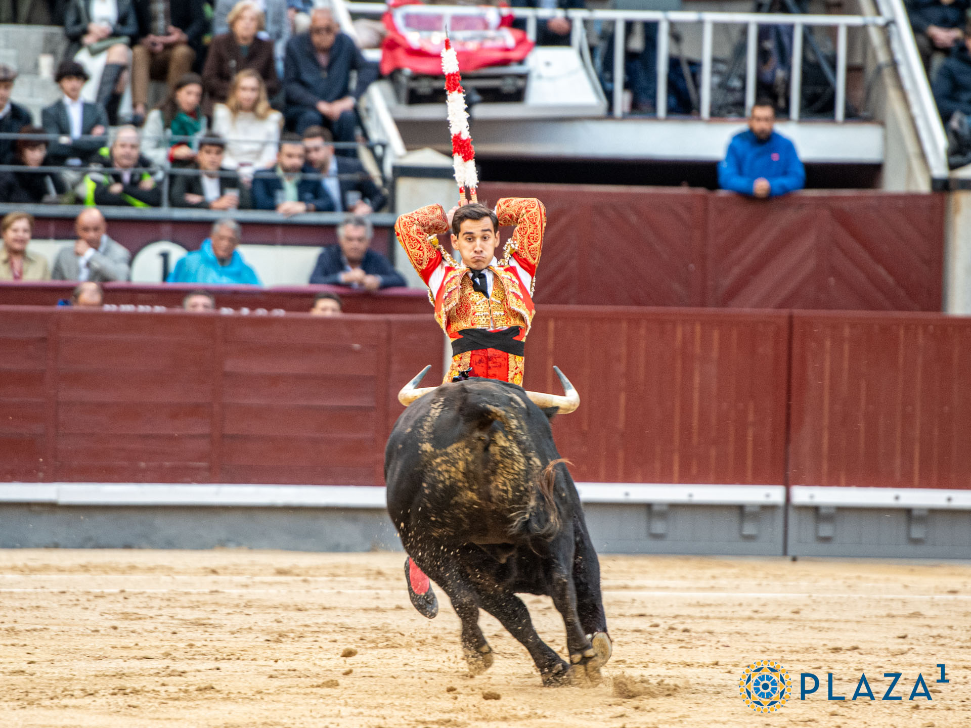 <p>Foto: Alfredo Arévalo / Plaza 1</p>