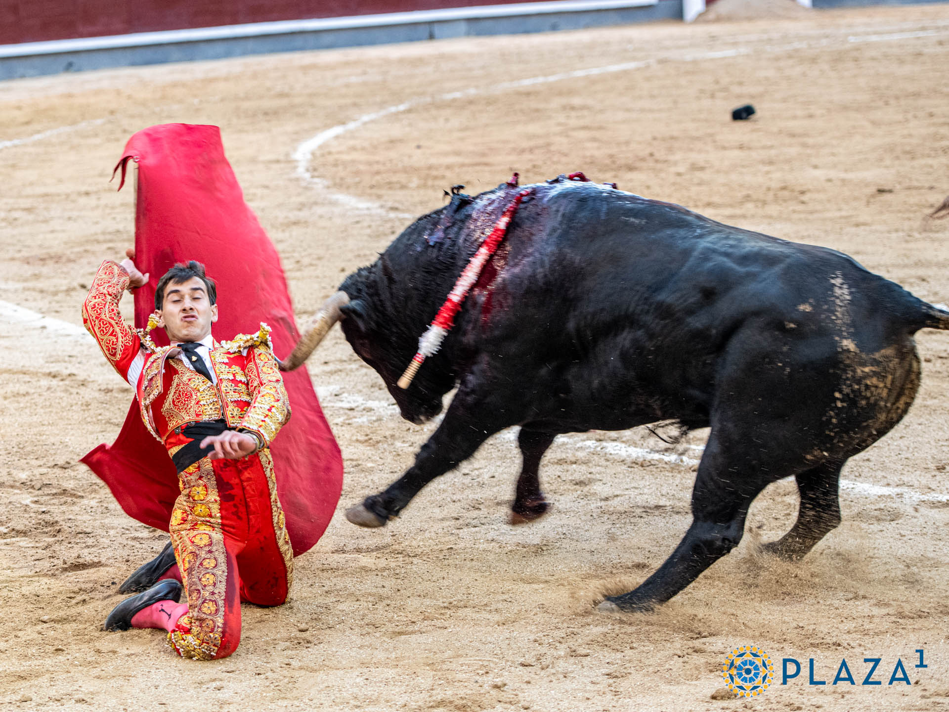 <p>Foto: Alfredo Arévalo / Plaza 1</p>