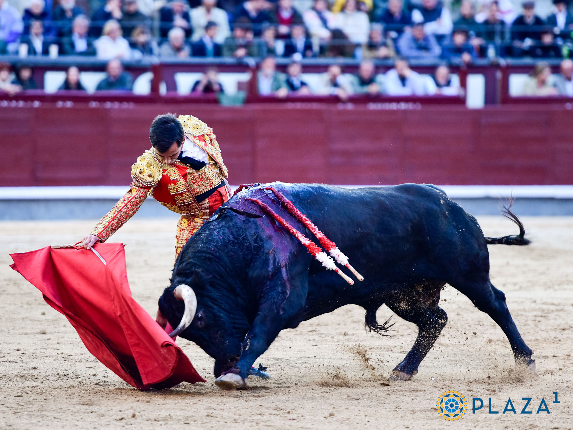<p>Foto: Alfredo Arévalo / Plaza 1</p>