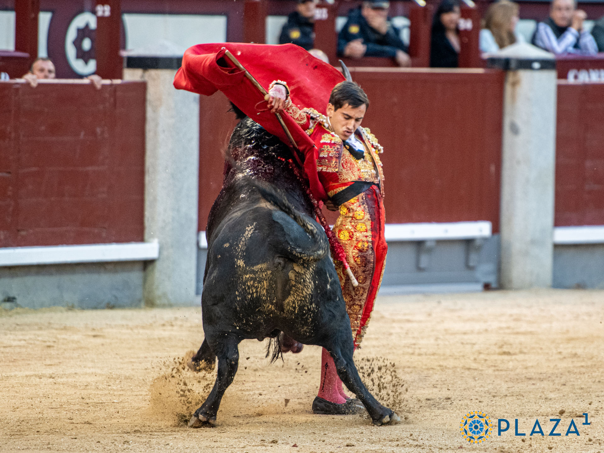 <p>Foto: Alfredo Arévalo / Plaza 1</p>
