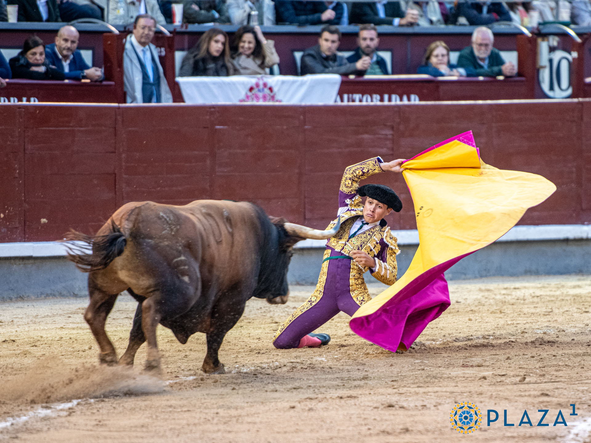 <p>Foto: Alfredo Arévalo / Plaza 1</p>
