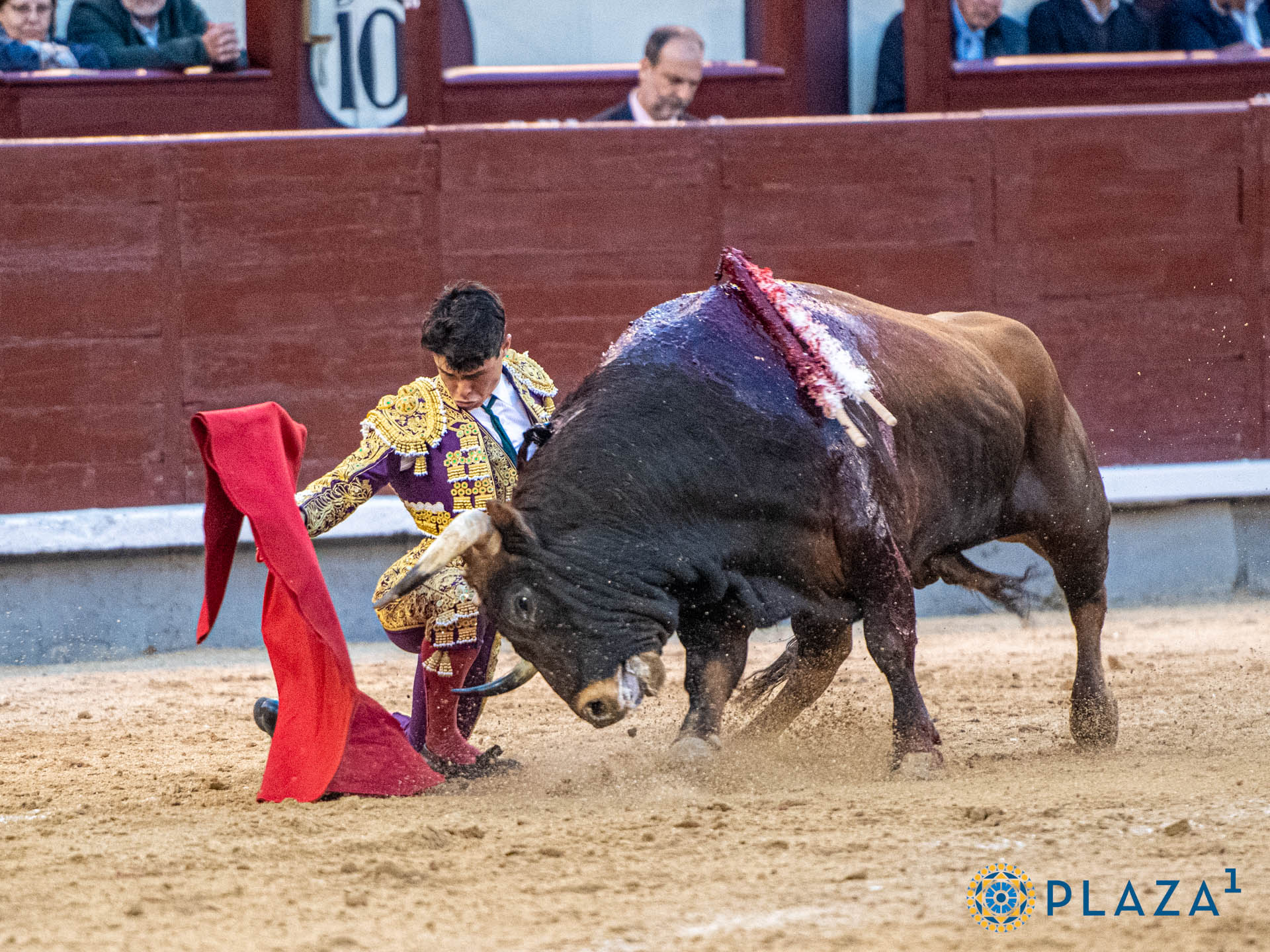 <p>Foto: Alfredo Arévalo / Plaza 1</p>