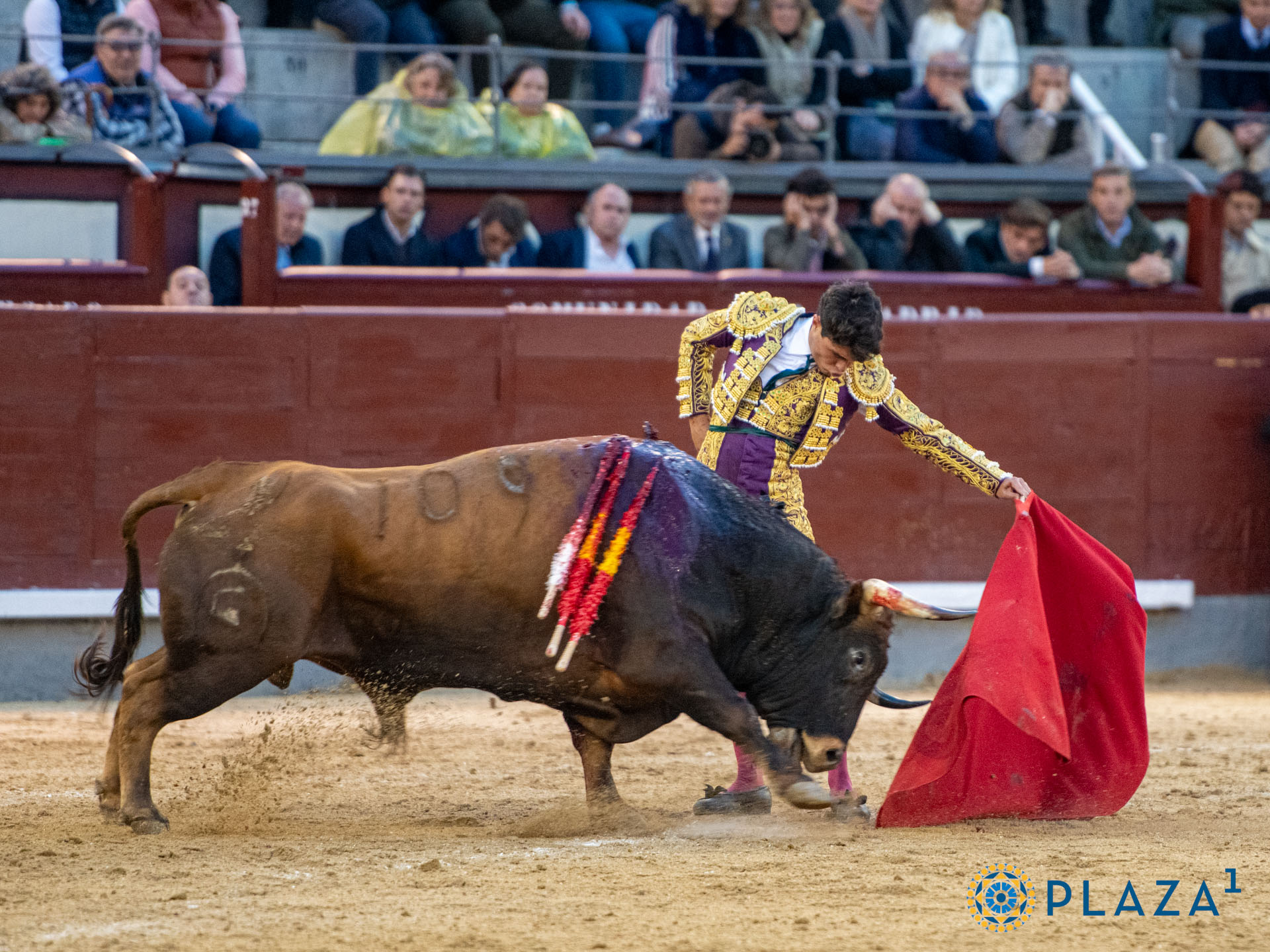<p>Foto: Alfredo Arévalo / Plaza 1</p>