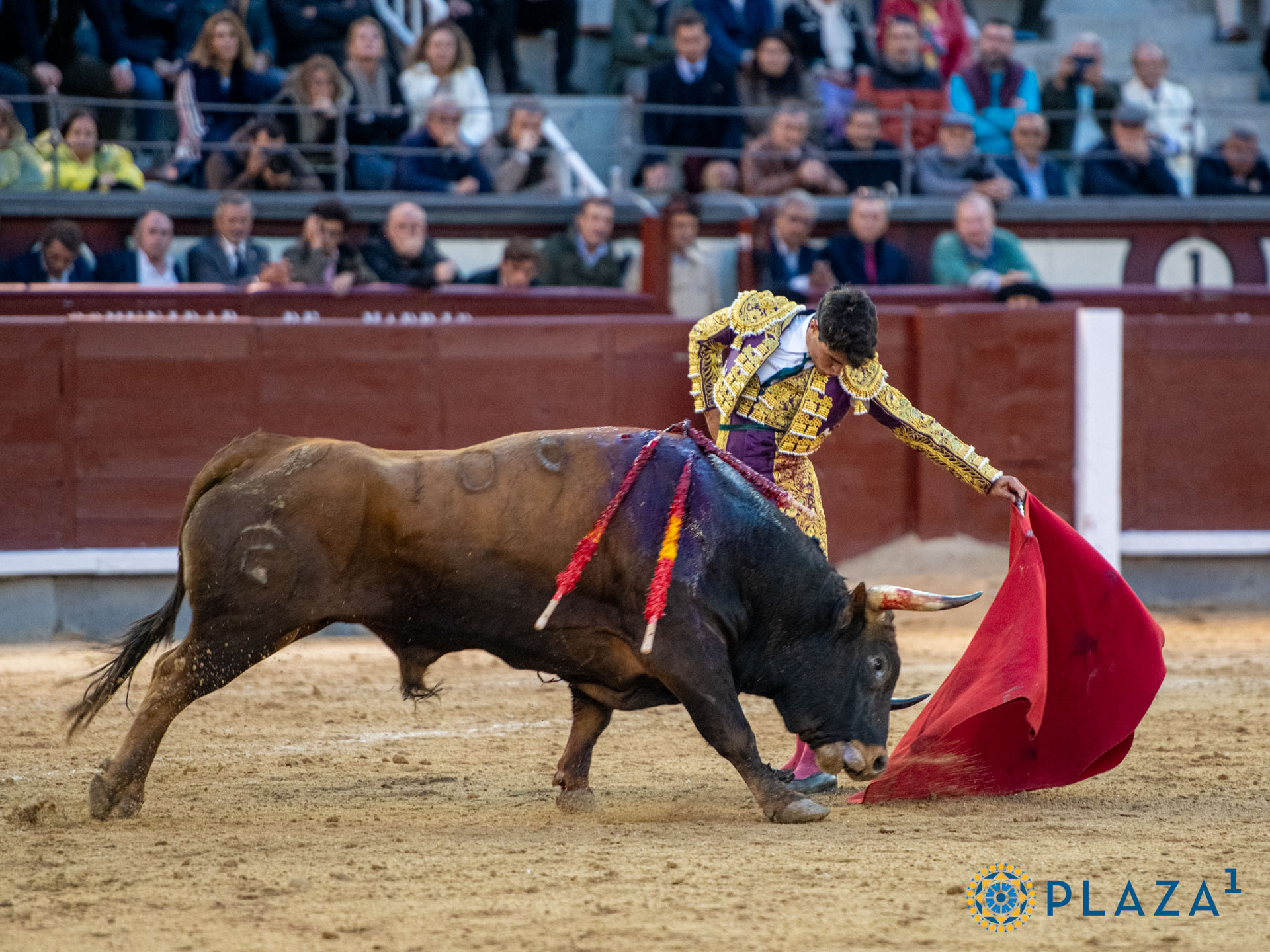 <p>Foto: Alfredo Arévalo / Plaza 1</p>