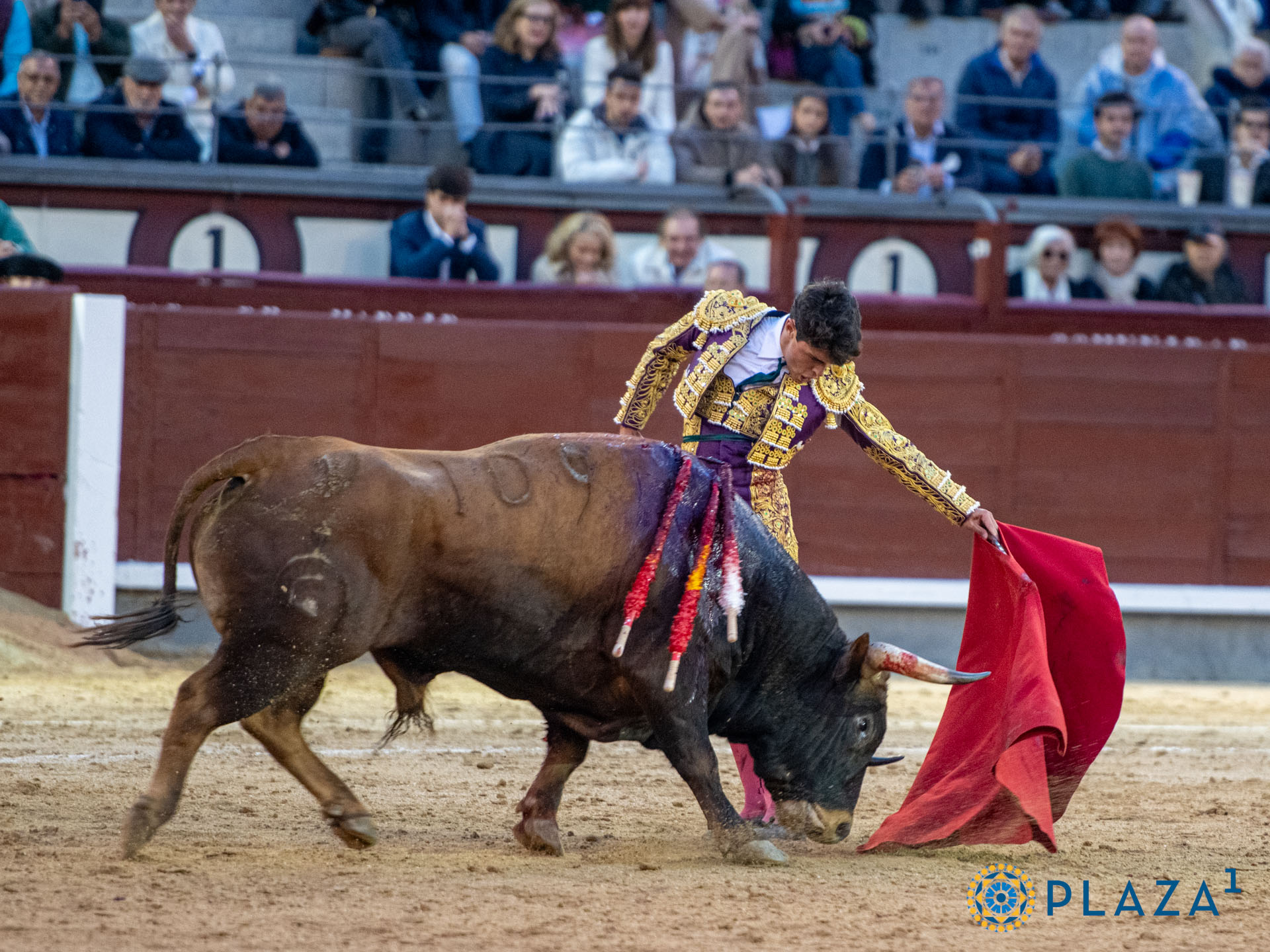 <p>Foto: Alfredo Arévalo / Plaza 1</p>