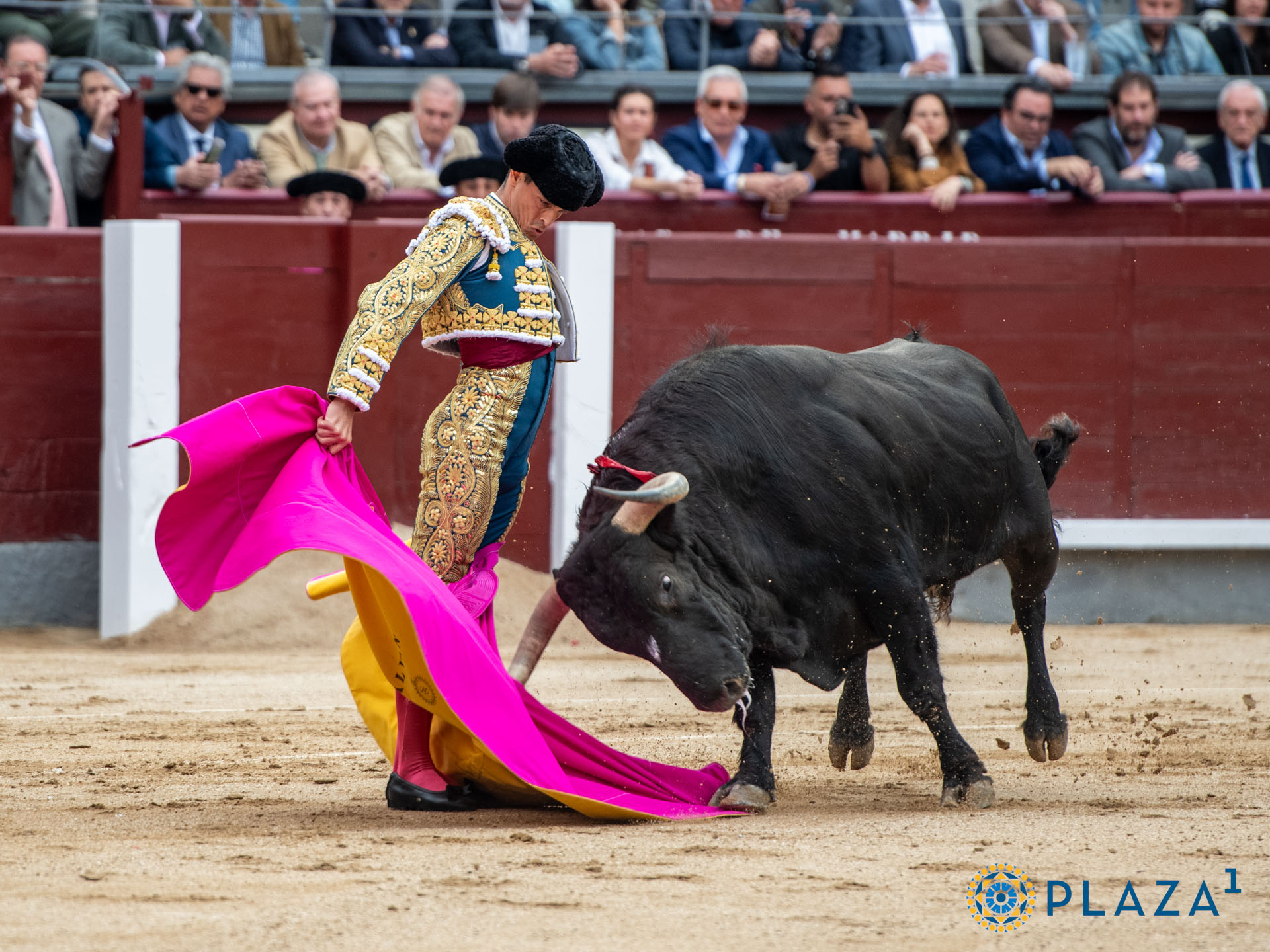 <p>Foto: Alfredo Arévalo / Plaza 1</p>