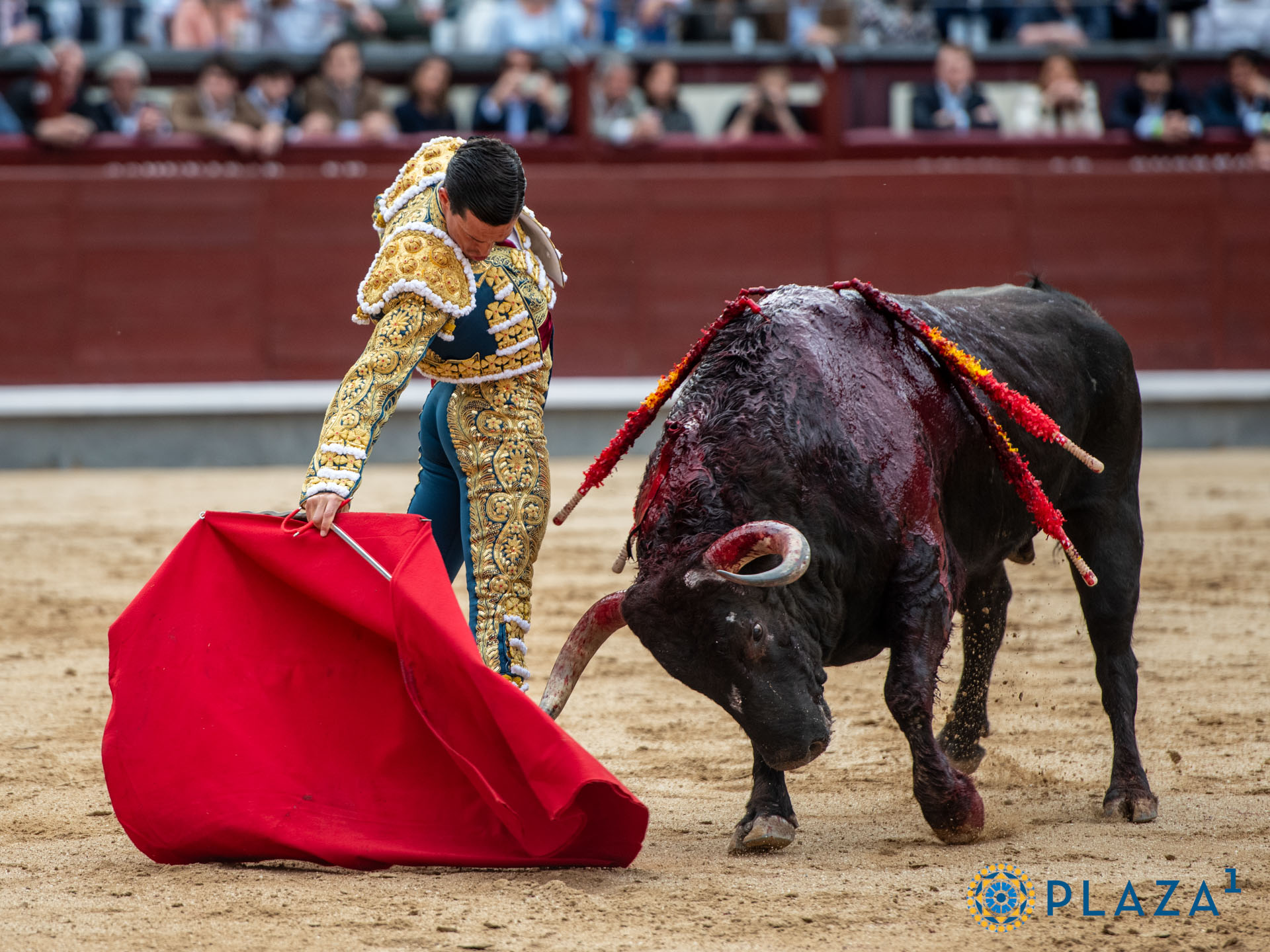 <p>Foto: Alfredo Arévalo / Plaza 1</p>