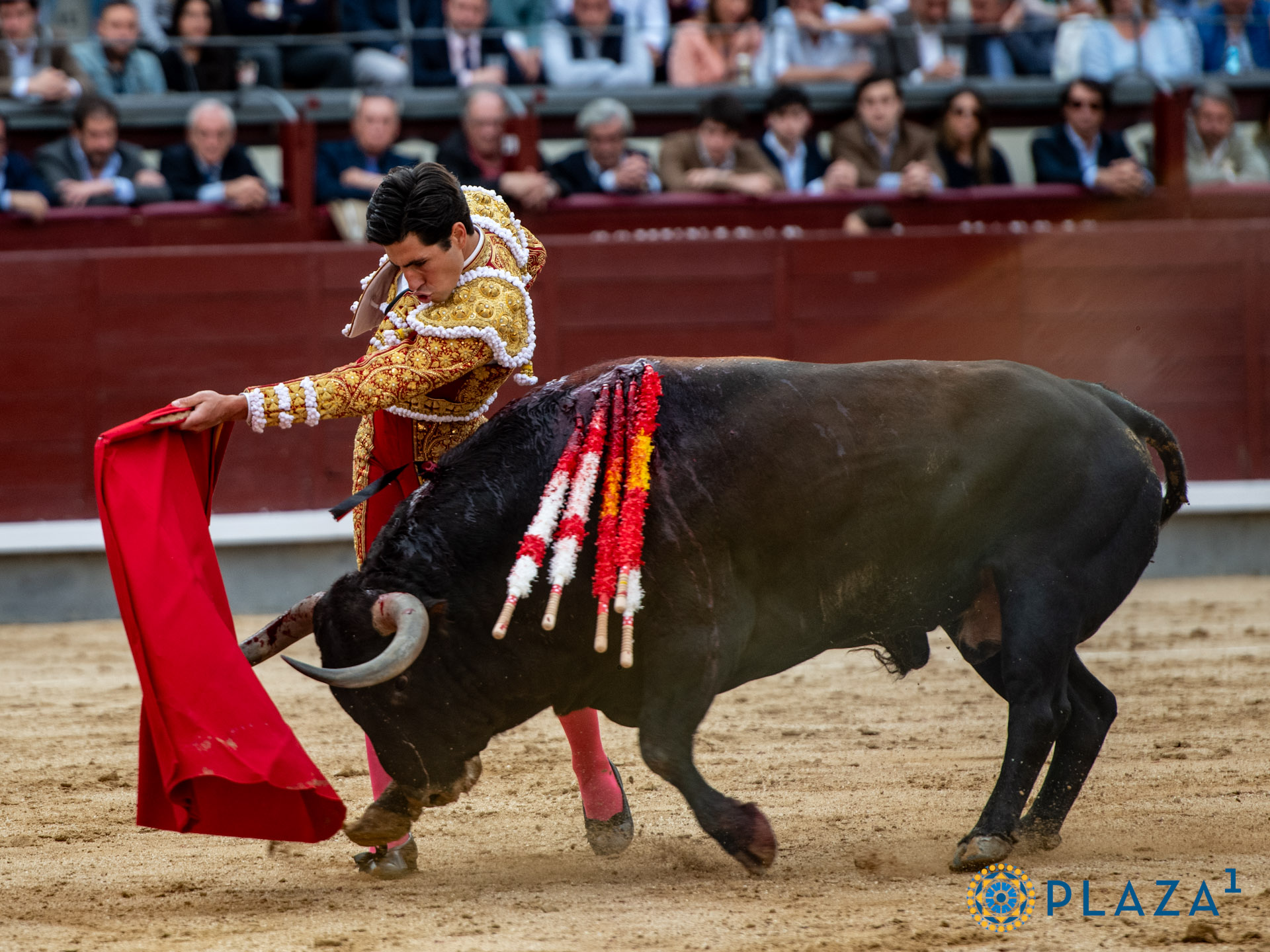 <p>Foto: Alfredo Arévalo / Plaza 1</p>