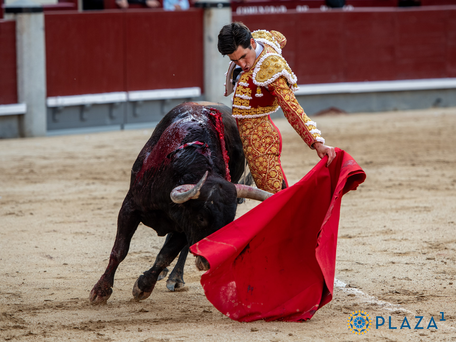 <p>Foto: Alfredo Arévalo / Plaza 1</p>