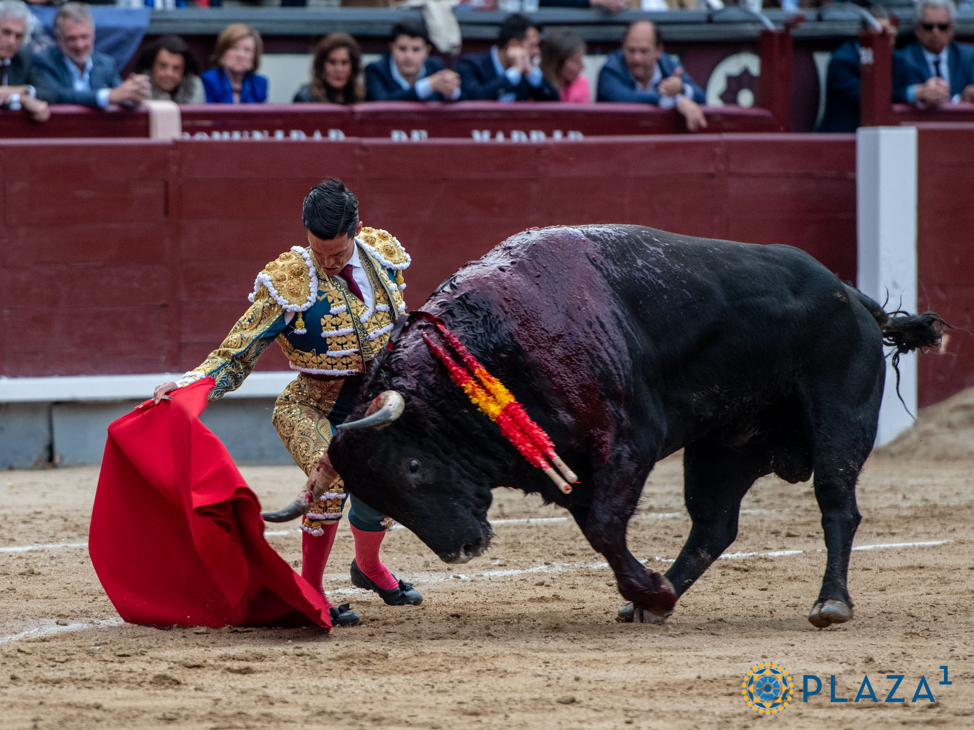 <p>Foto: Alfredo Arévalo / Plaza 1</p>