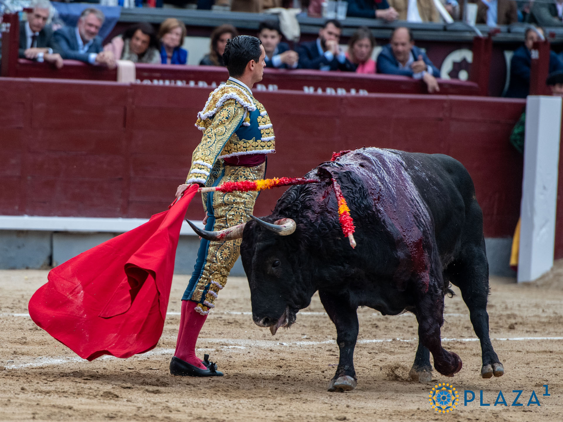 <p>Foto: Alfredo Arévalo / Plaza 1</p>