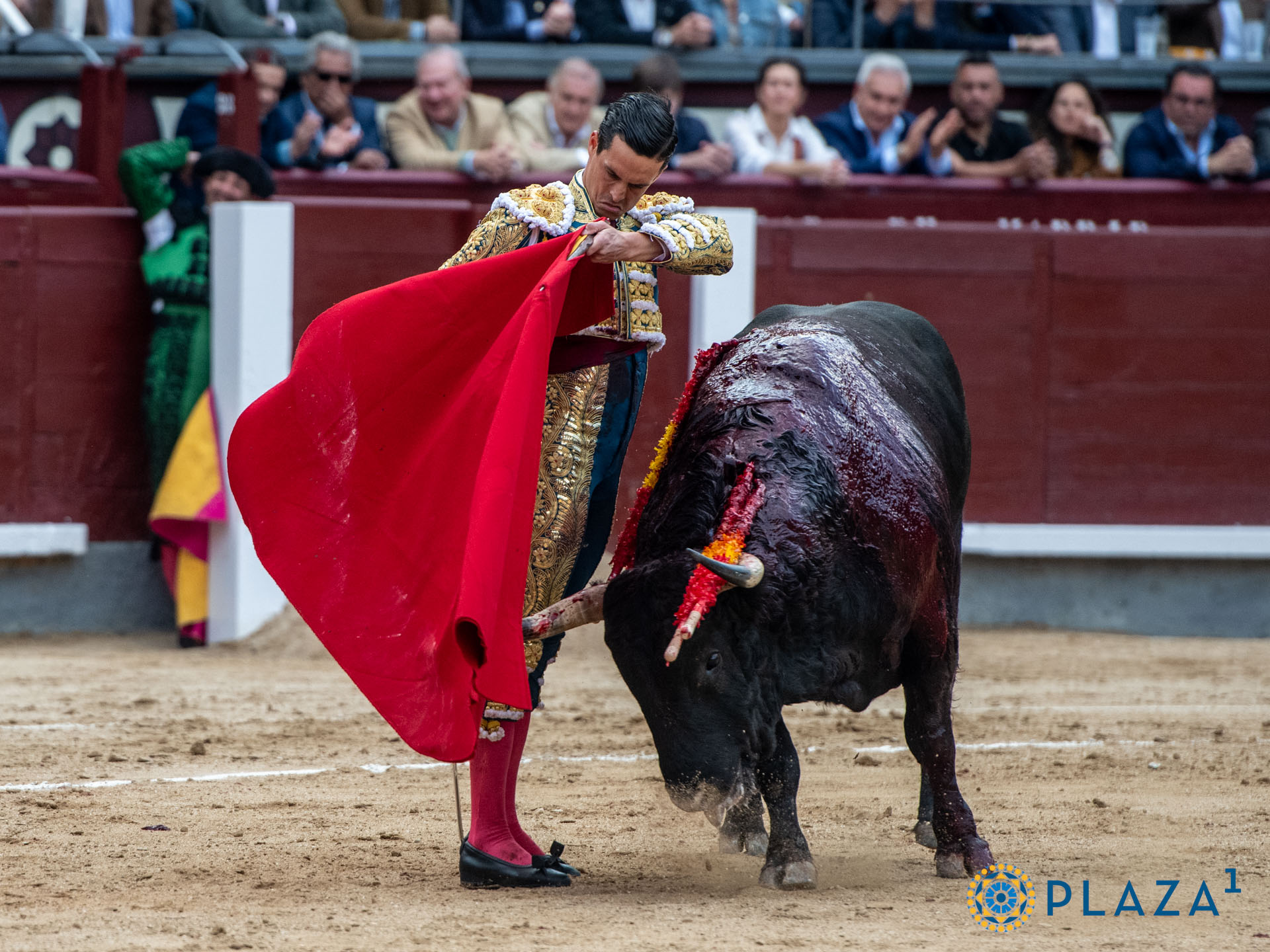 <p>Foto: Alfredo Arévalo / Plaza 1</p>