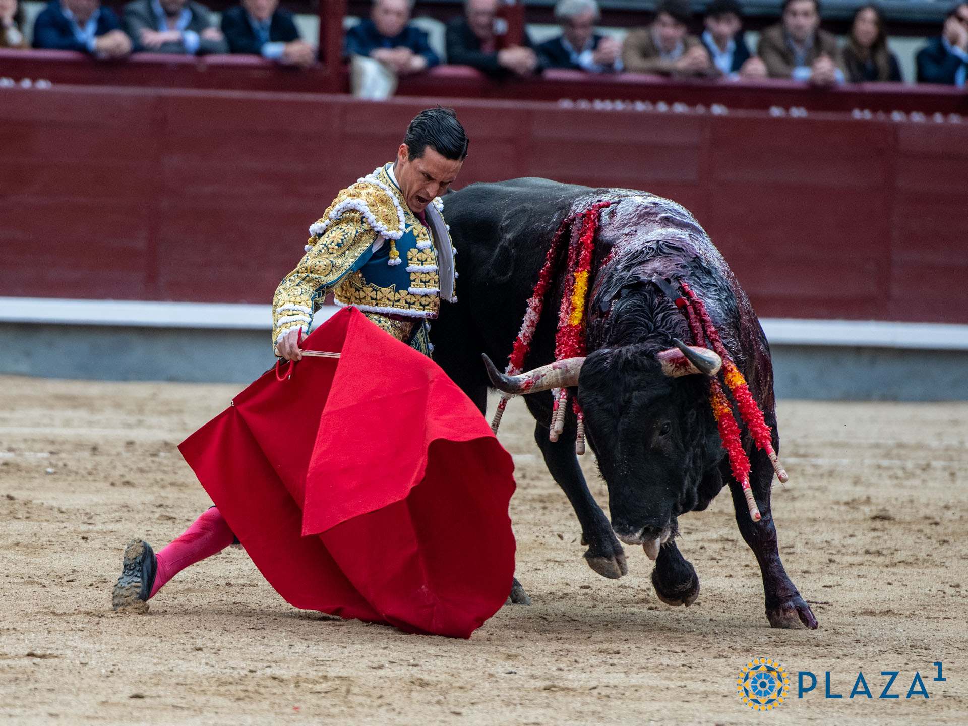 <p>Foto: Alfredo Arévalo / Plaza 1</p>