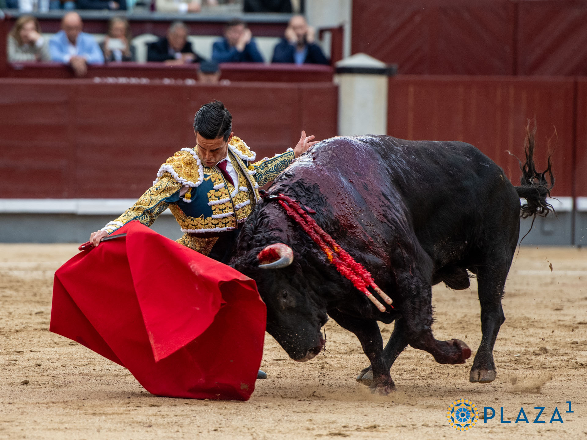 <p>Foto: Alfredo Arévalo / Plaza 1</p>
