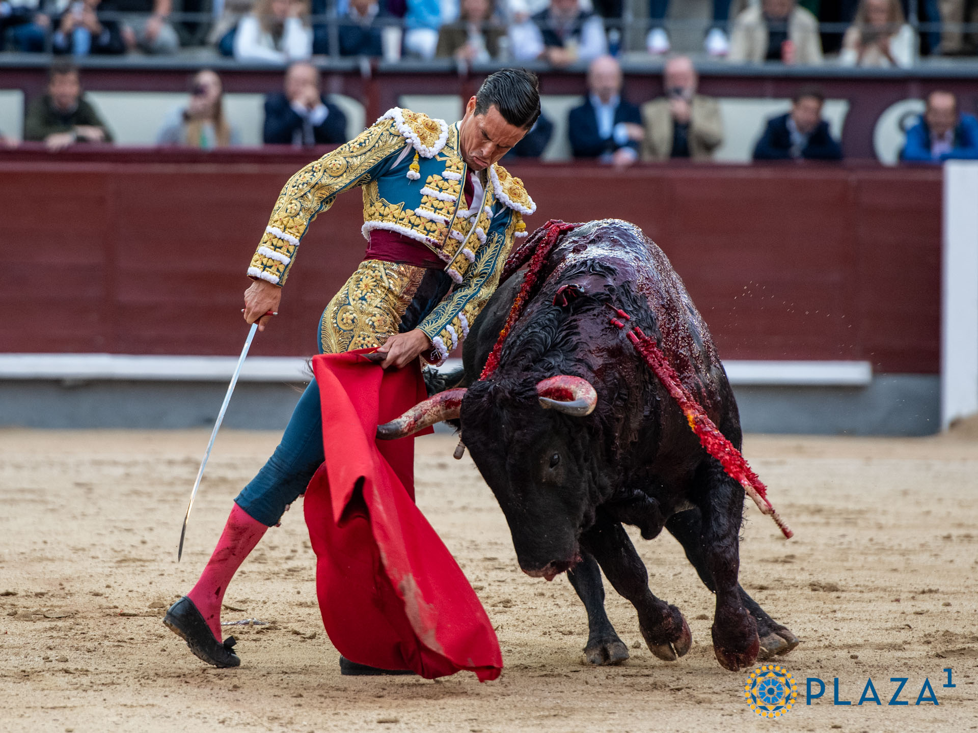 <p>Foto: Alfredo Arévalo / Plaza 1</p>