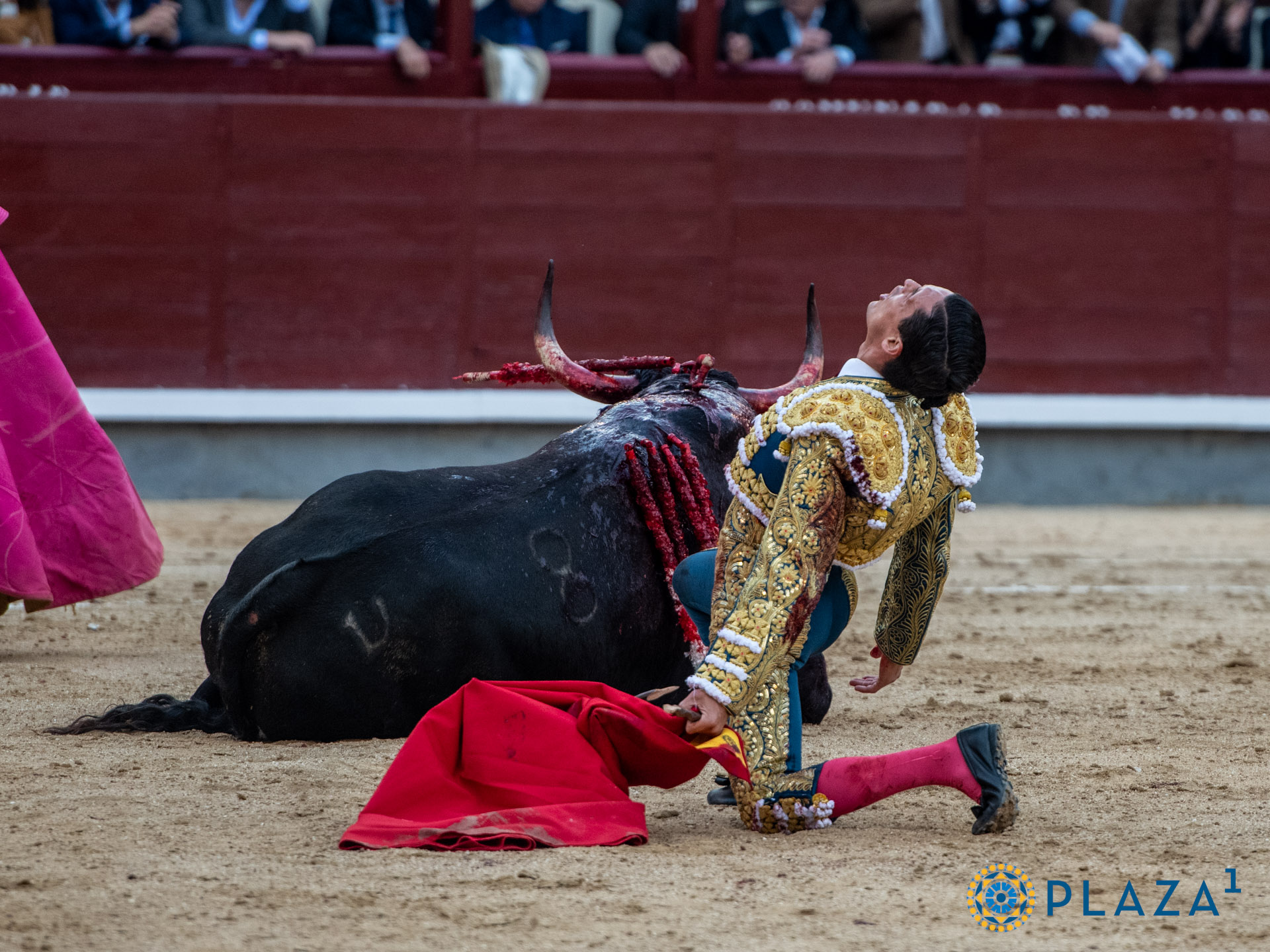 <p>Foto: Alfredo Arévalo / Plaza 1</p>