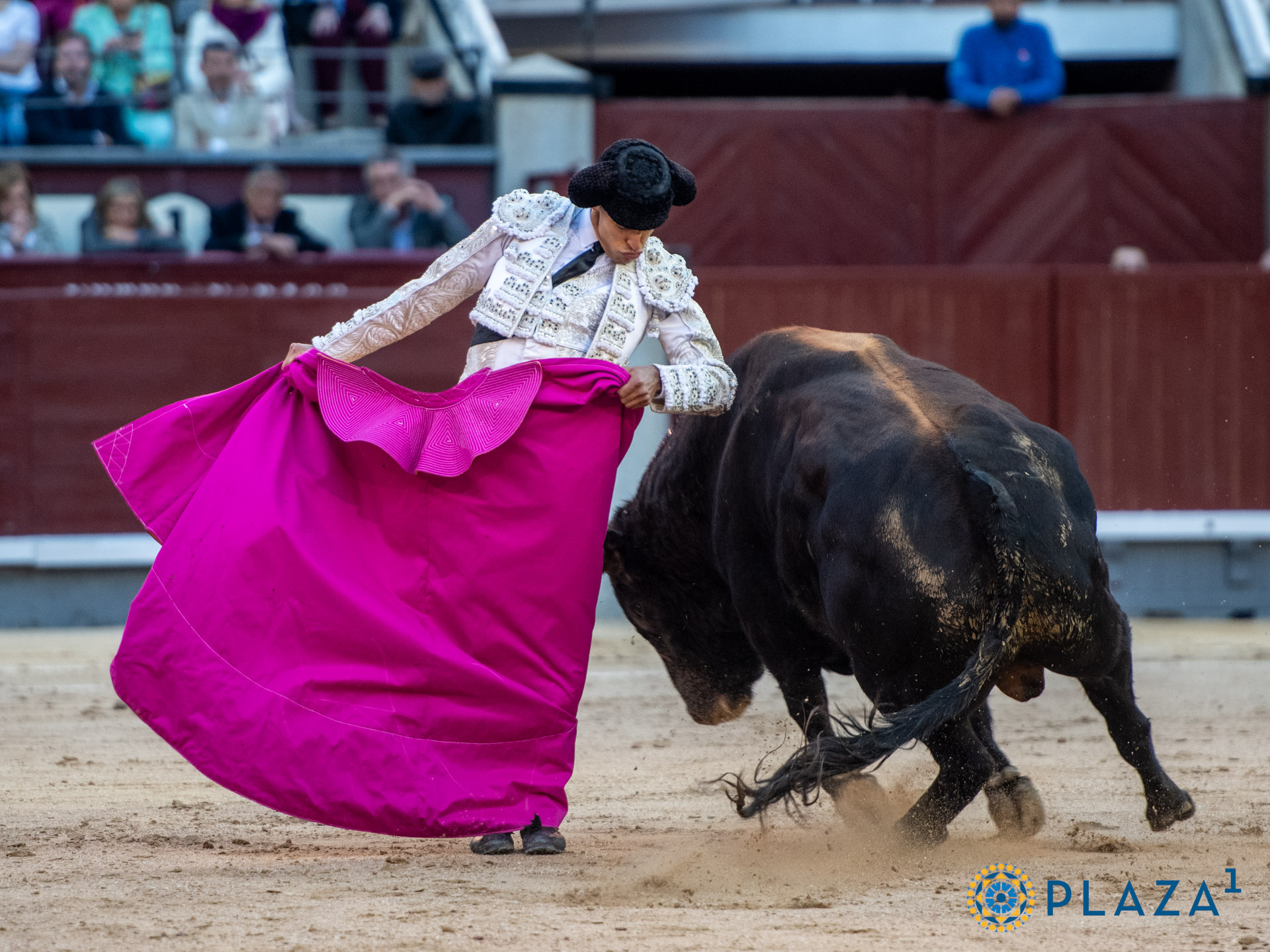 <p>Foto: Alfredo Arévalo / Plaza 1</p>