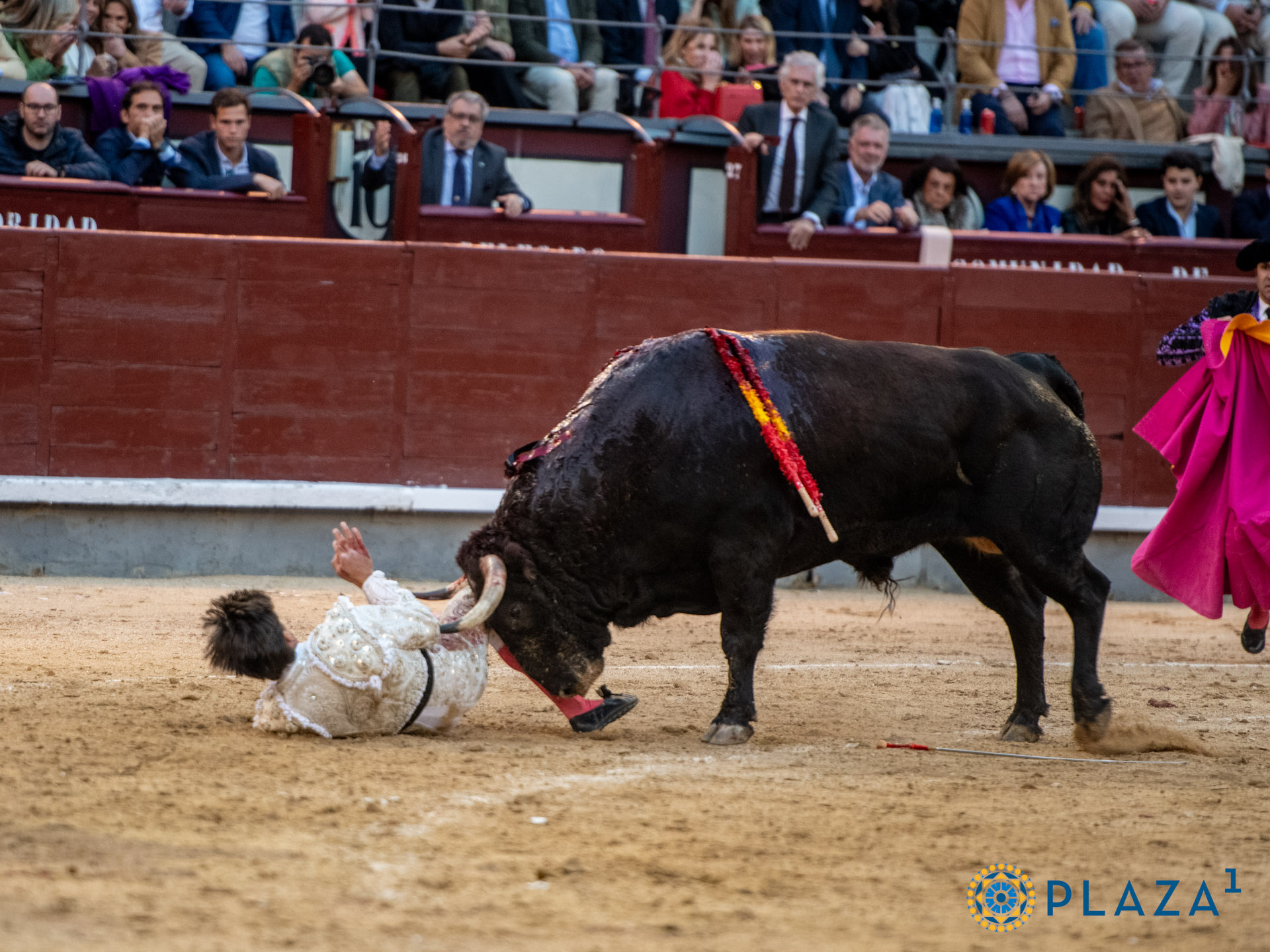 <p>Foto: Alfredo Arévalo / Plaza 1</p>