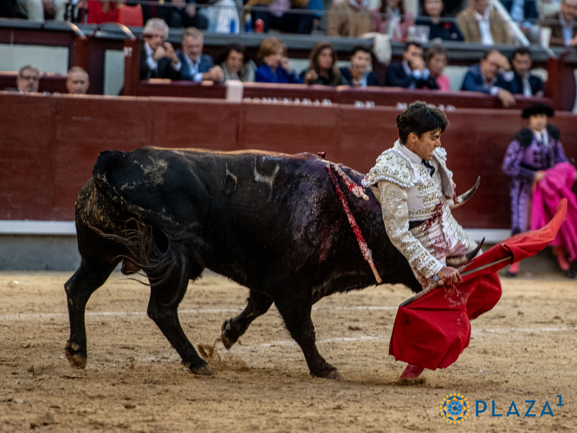 <p>Foto: Alfredo Arévalo / Plaza 1</p>