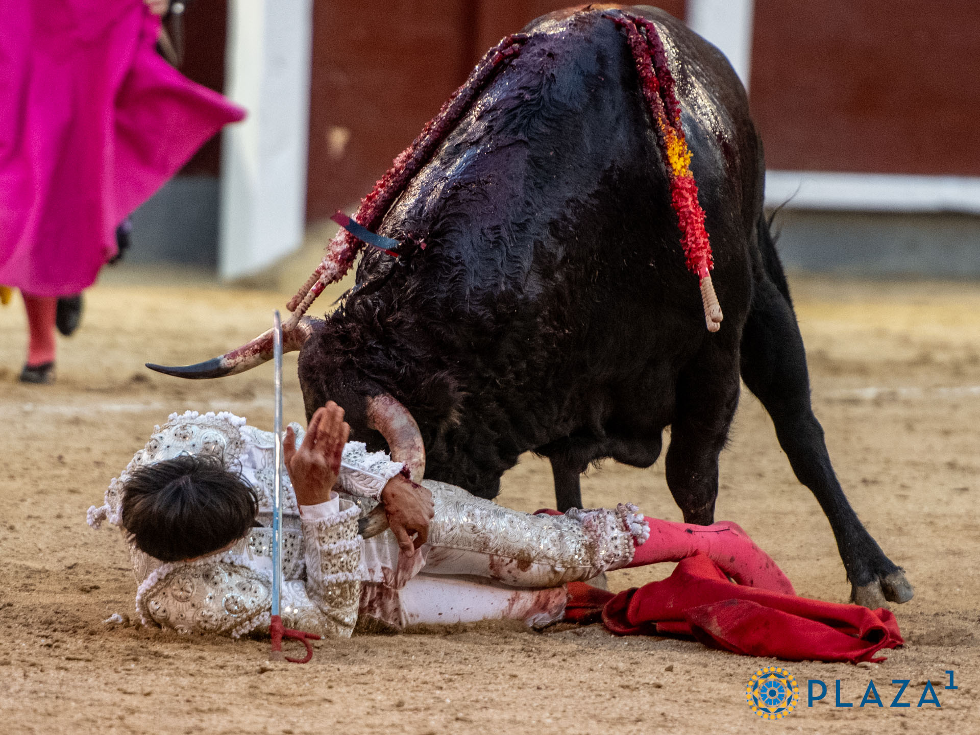 <p>Foto: Alfredo Arévalo / Plaza 1</p>