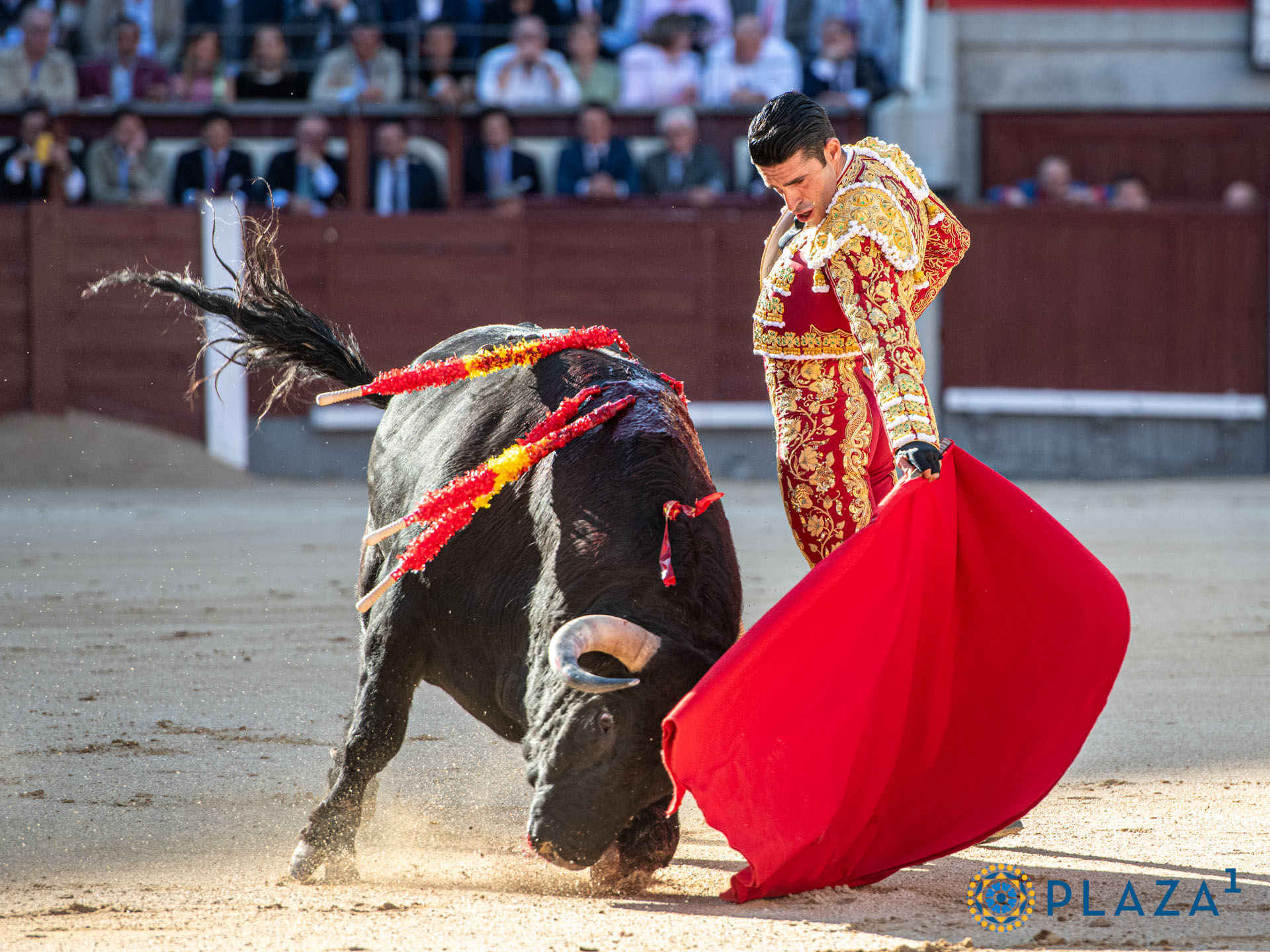 <p>Foto: Alfredo Arévalo / Plaza 1</p>